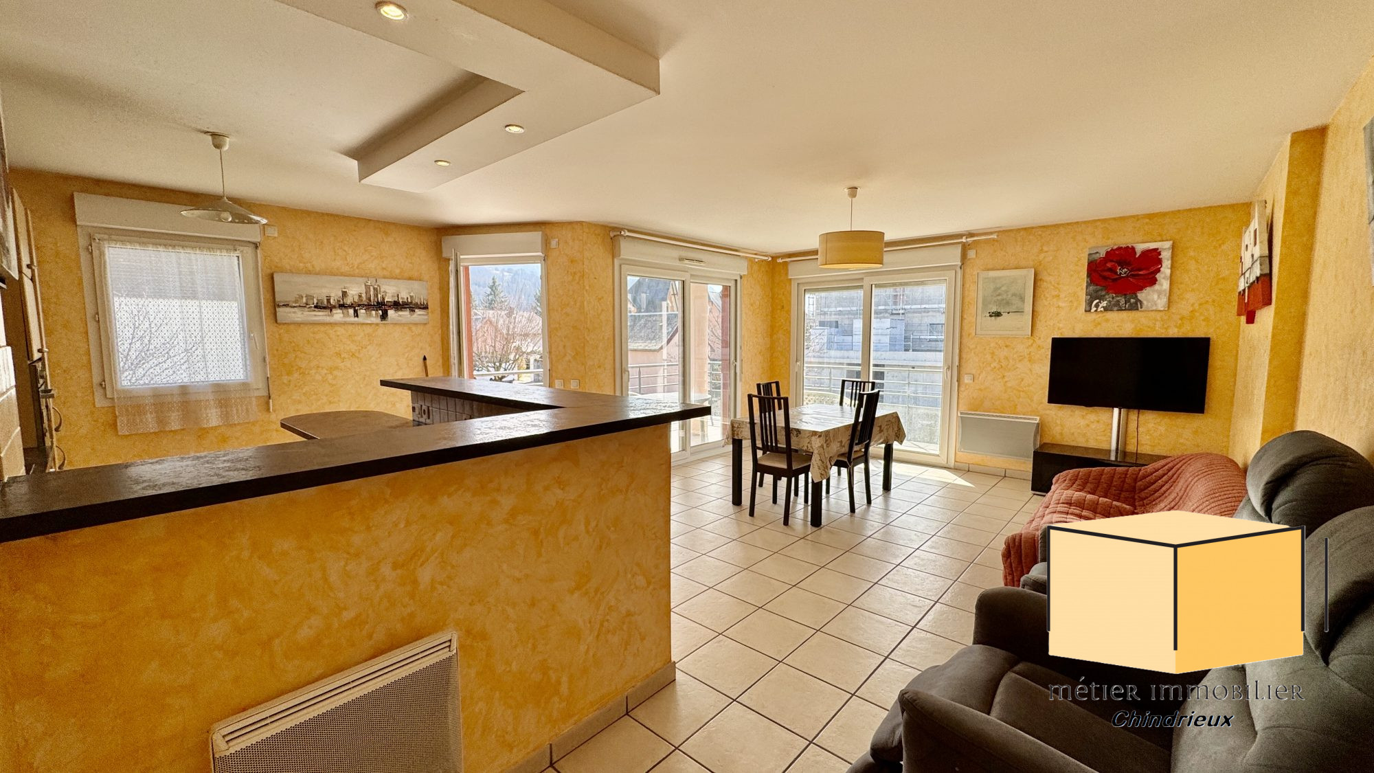 vente appartement SEYSSEL