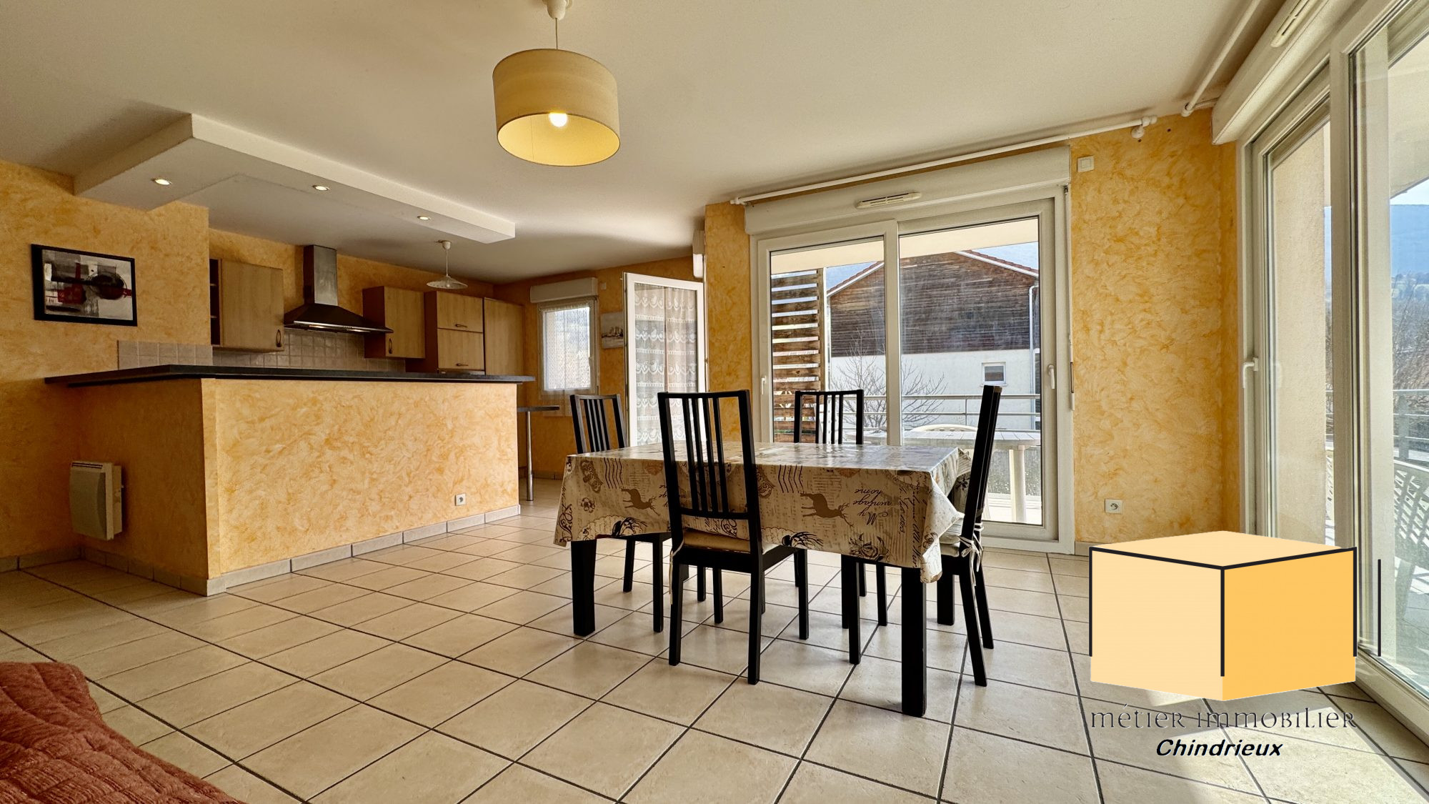 vente appartement SEYSSEL