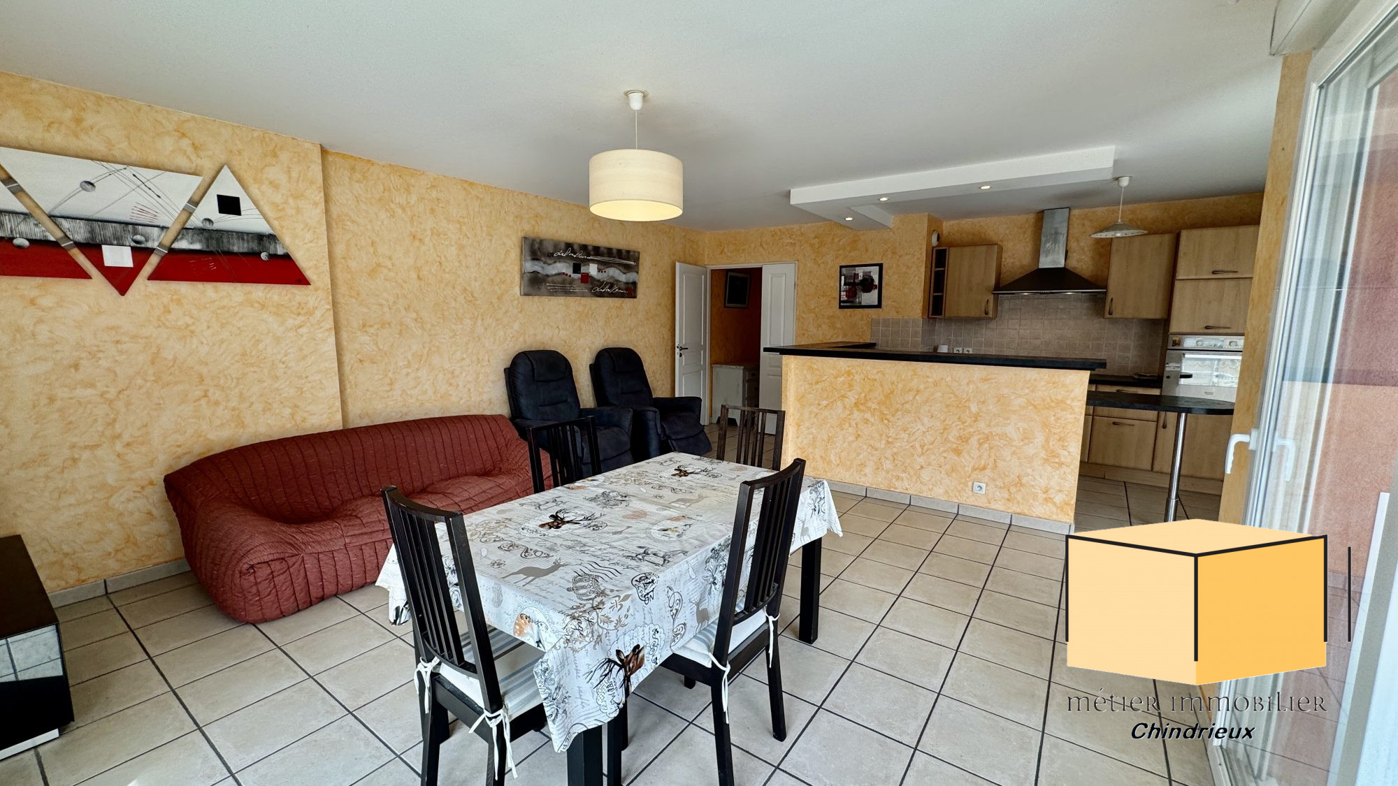vente appartement SEYSSEL
