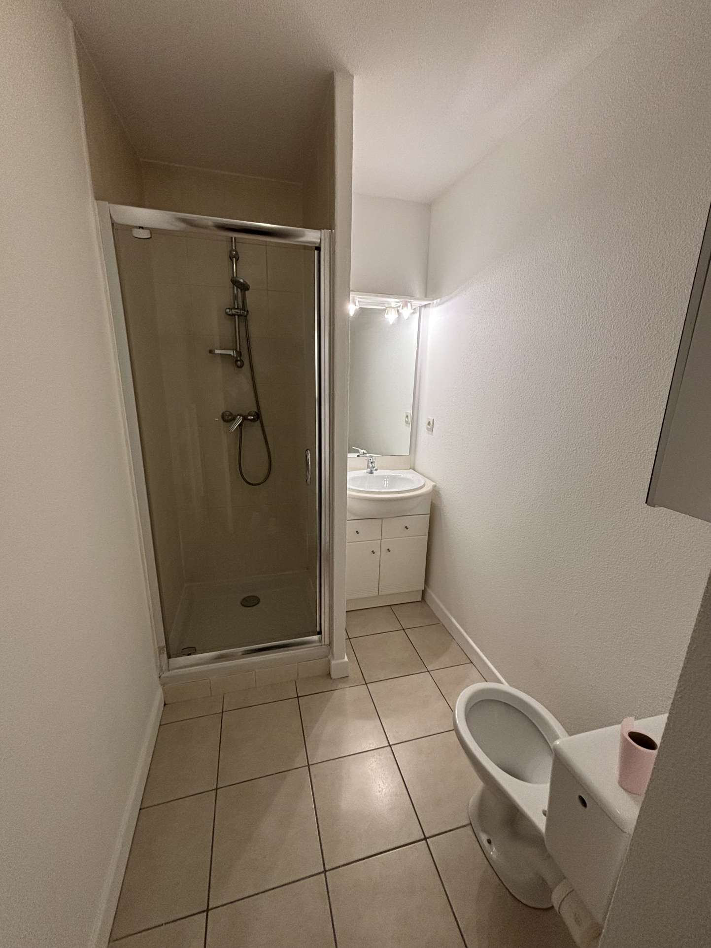 vente appartement SCIONZIER