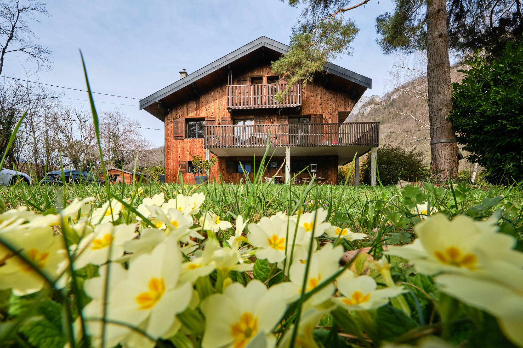 vente maison TALLOIRES MONTMIN