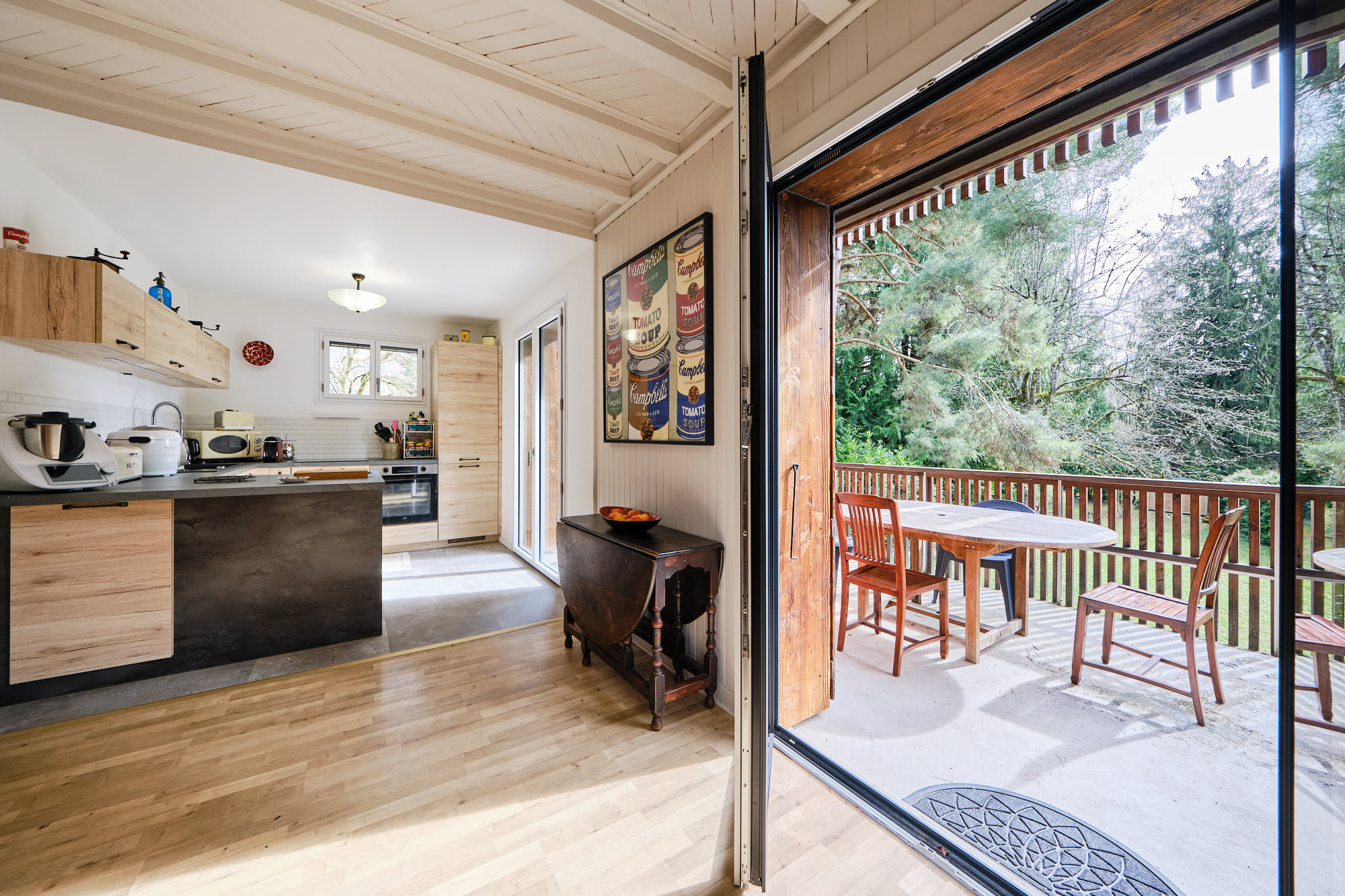 vente maison TALLOIRES MONTMIN