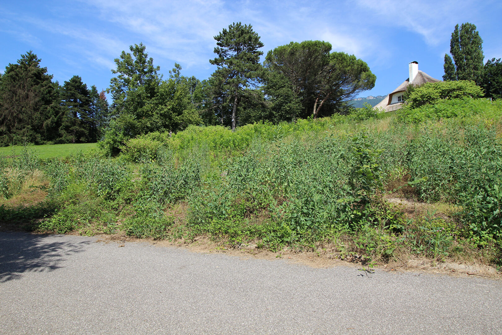vente terrain 