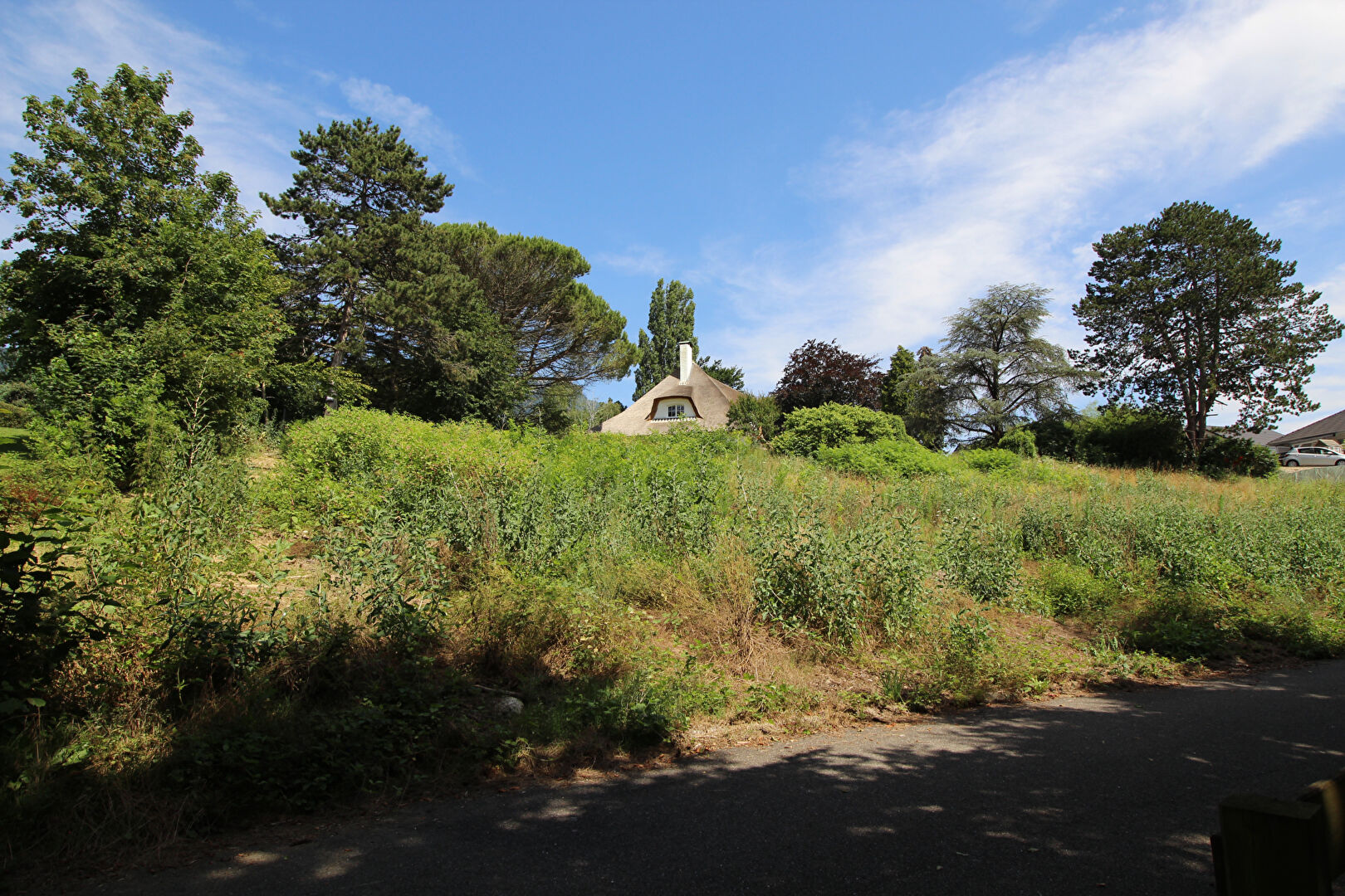 vente terrain 