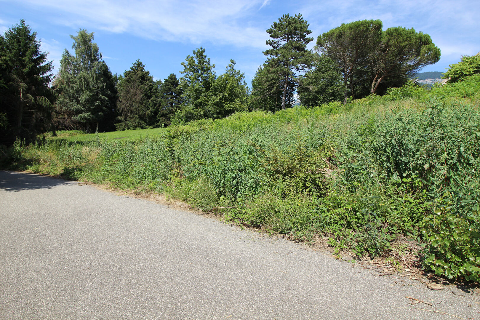 vente terrain 