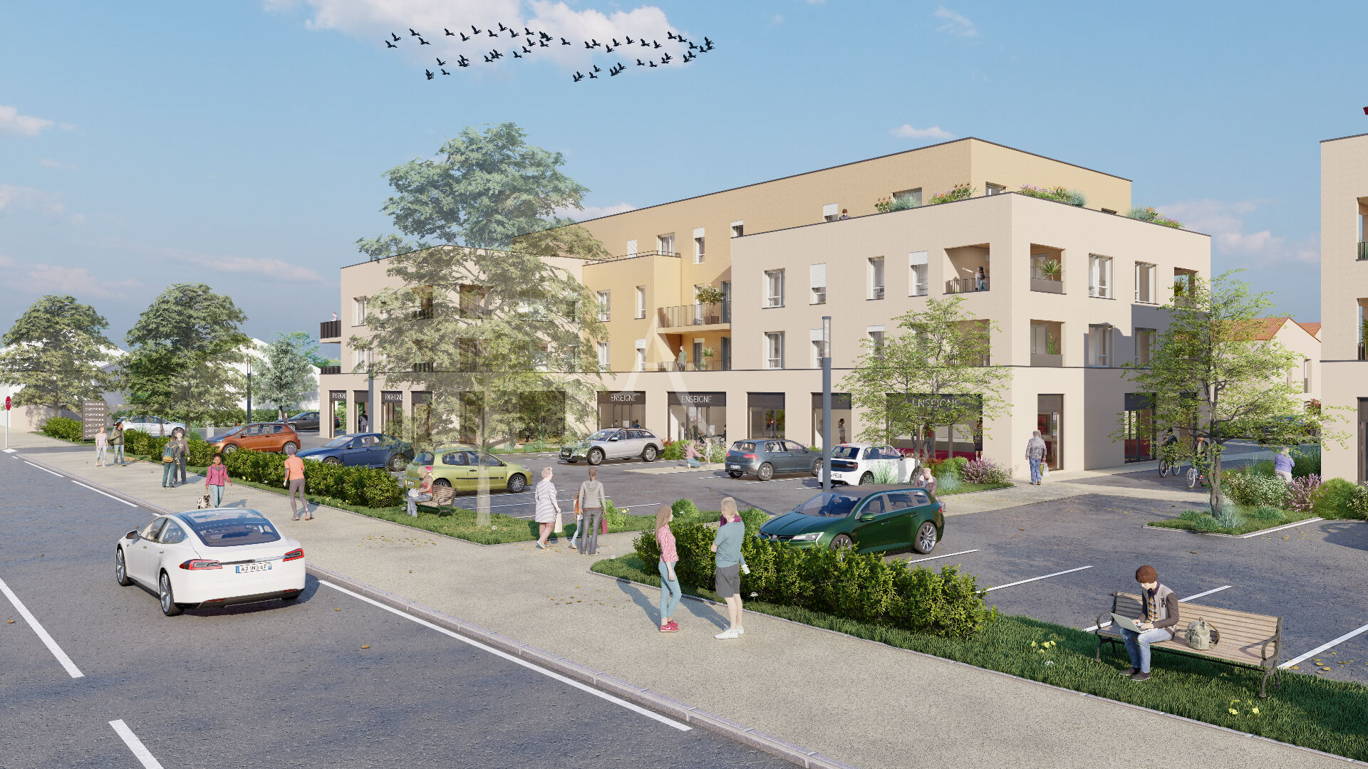 vente local-commercial 