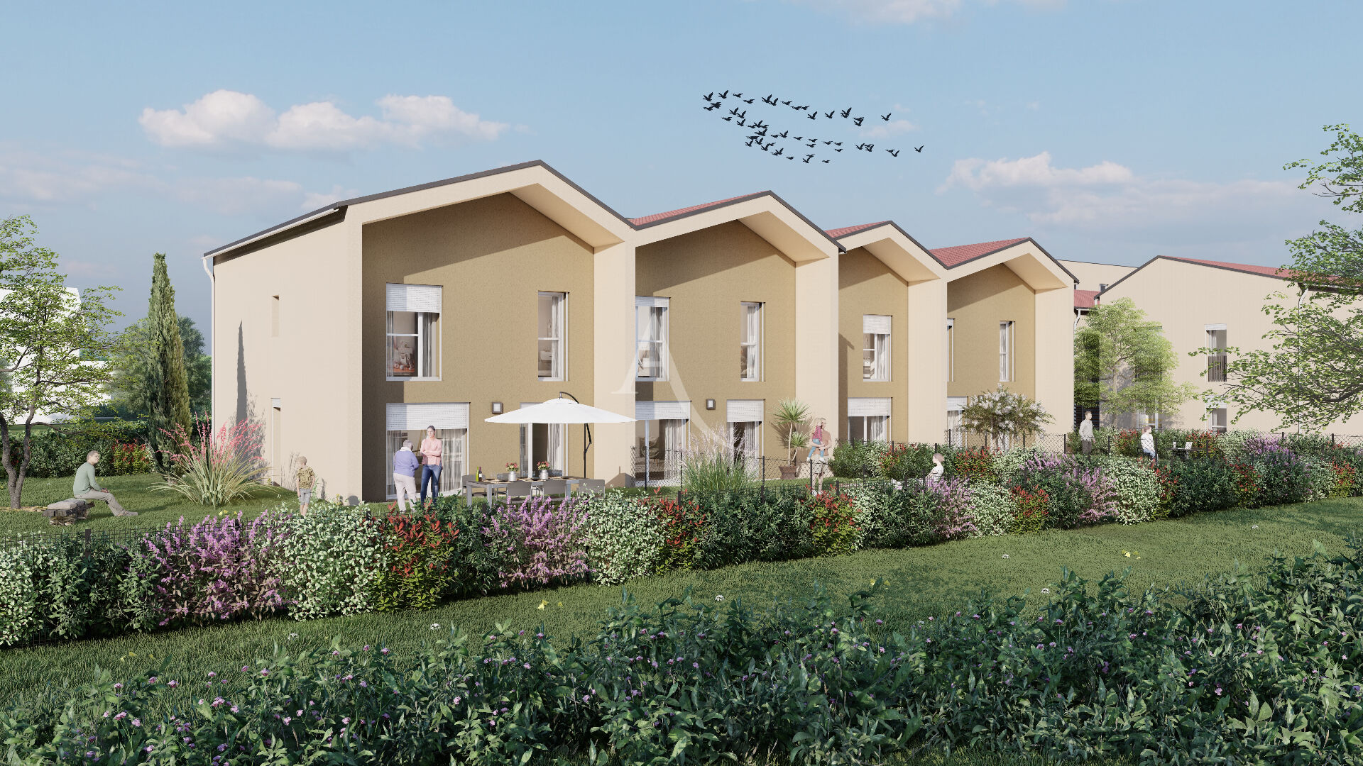 vente maison 