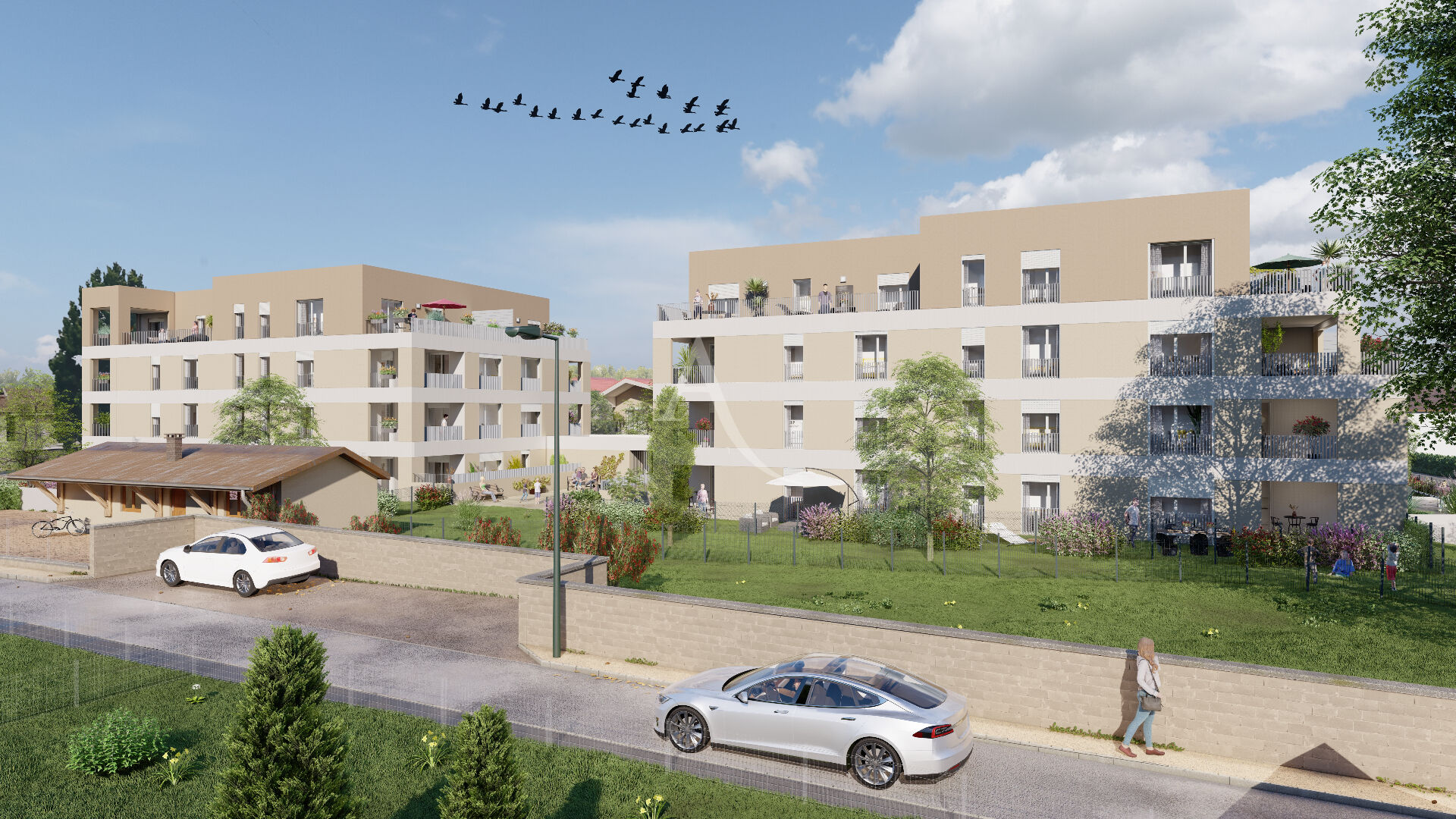 vente appartement 