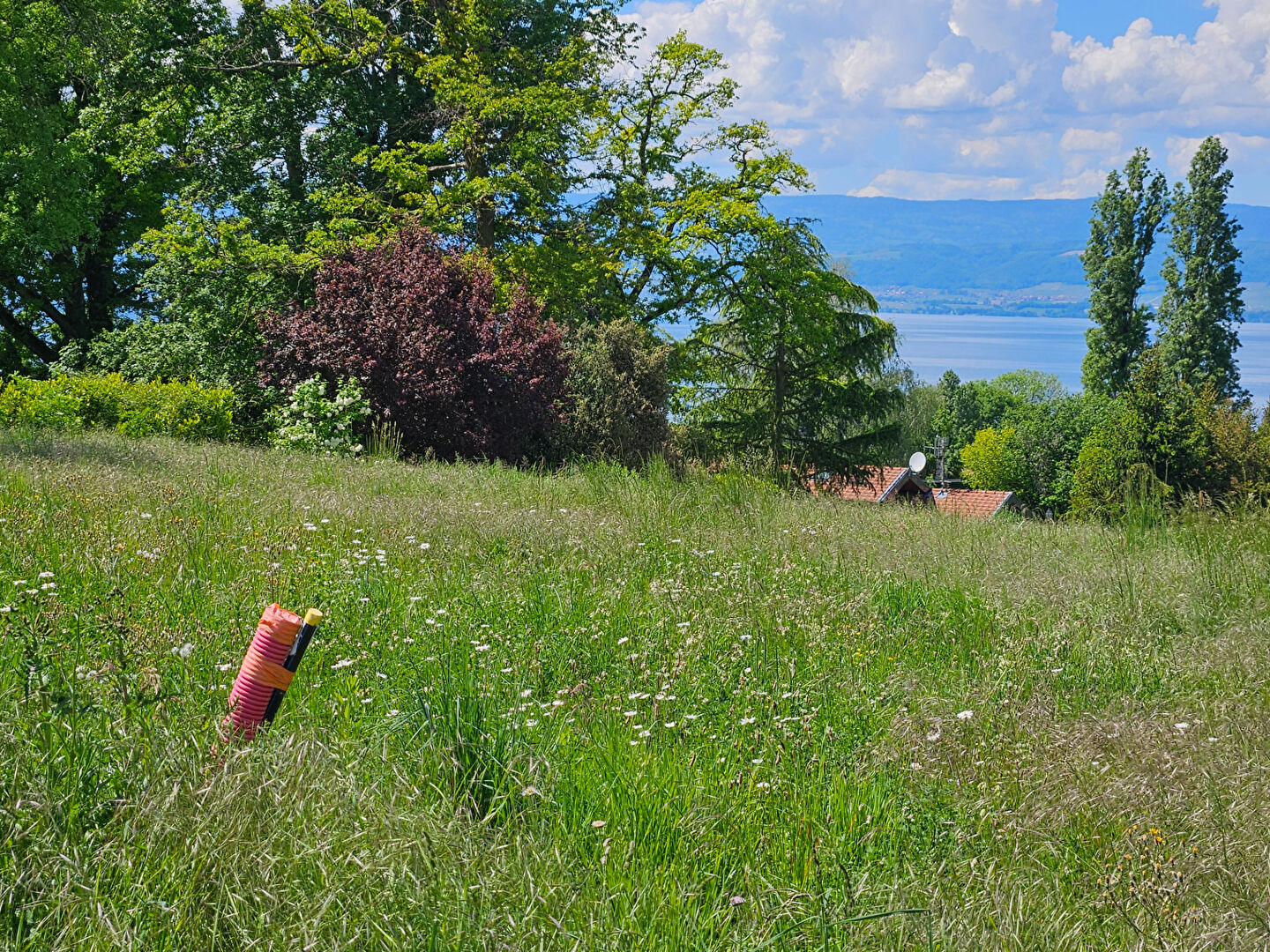 Terrain  - 450 m² 