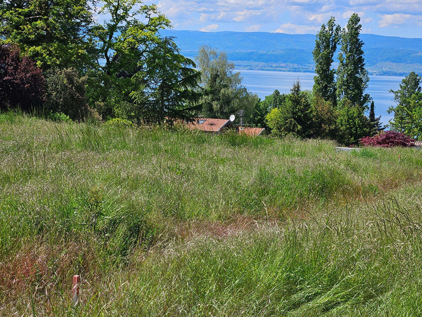 vente terrain 
