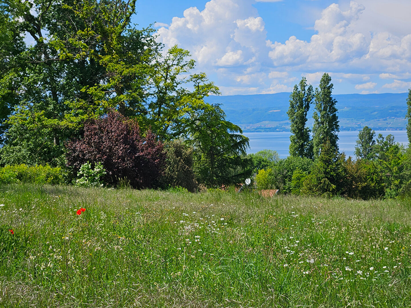 vente terrain 