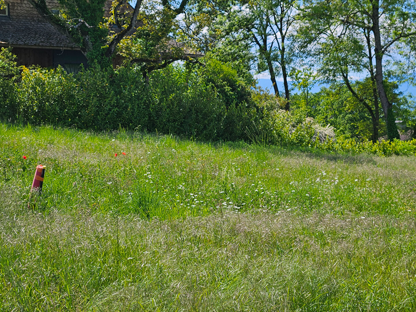 vente terrain 