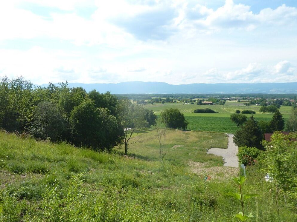 vente terrain 
