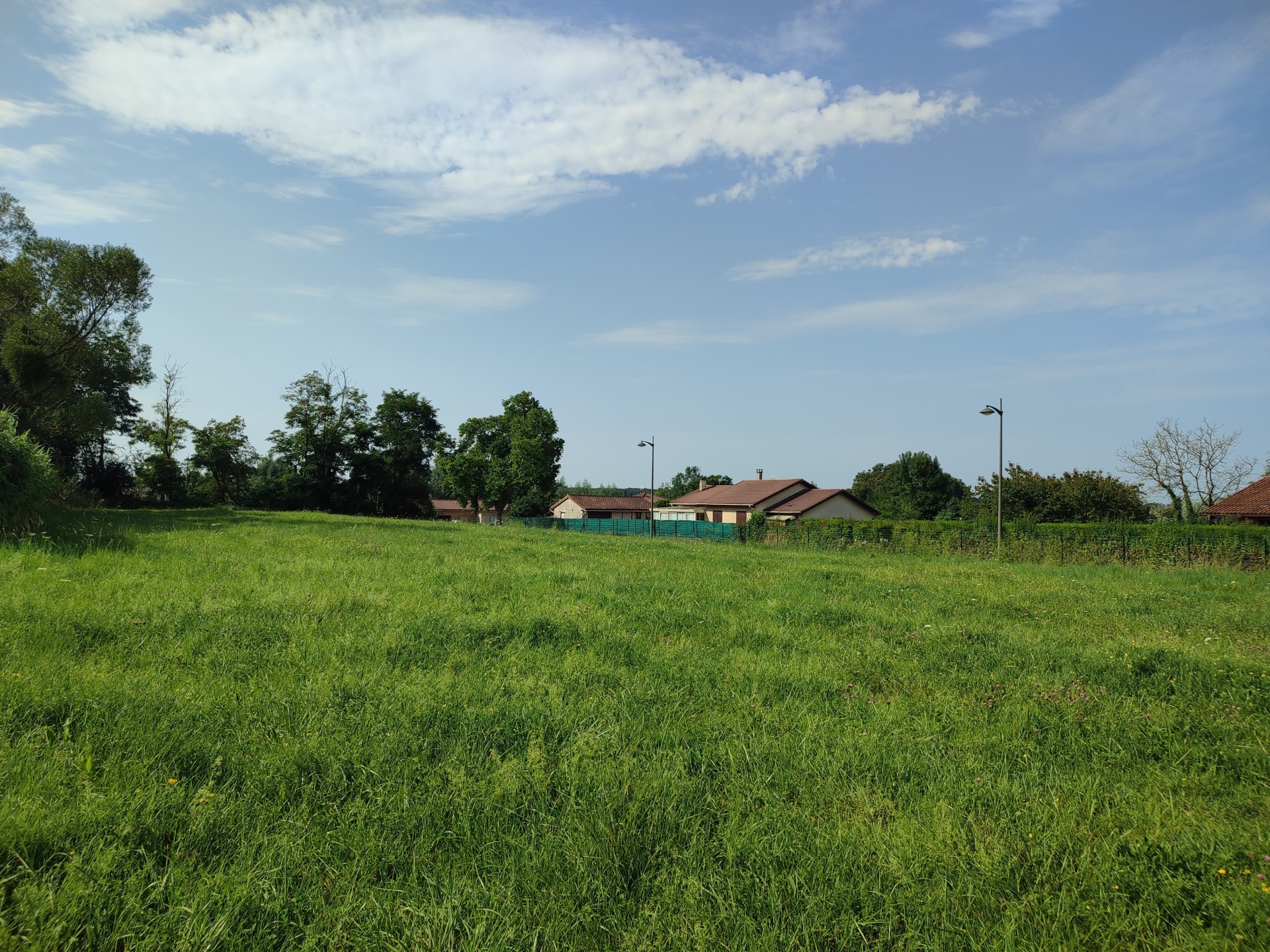 vente terrain ST TRIVIER DE COURTES