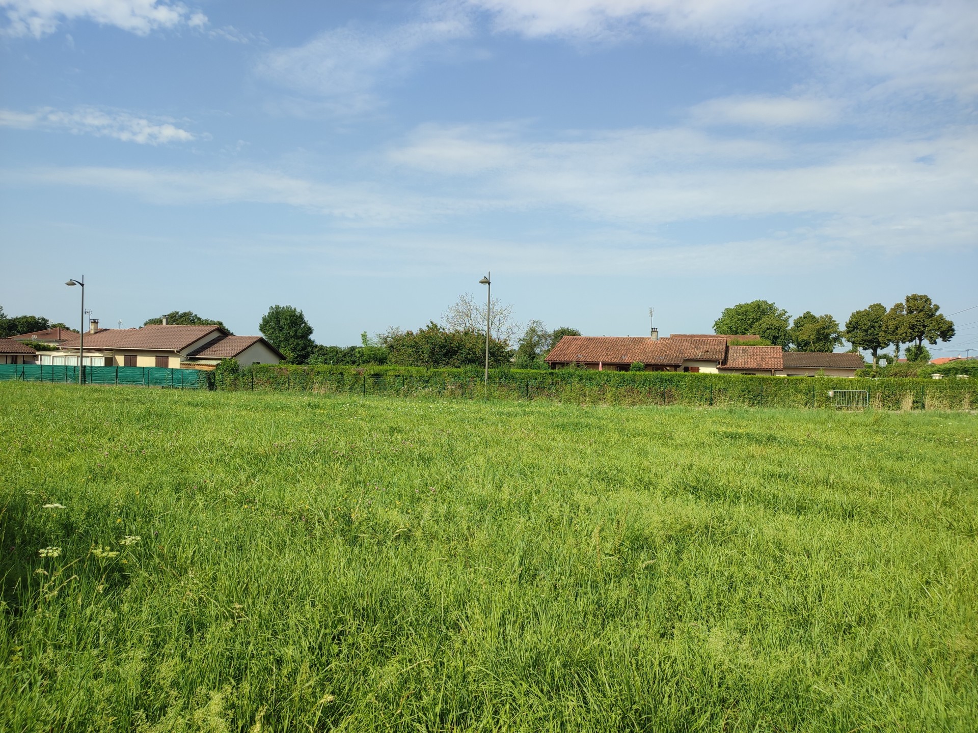 vente terrain ST TRIVIER DE COURTES