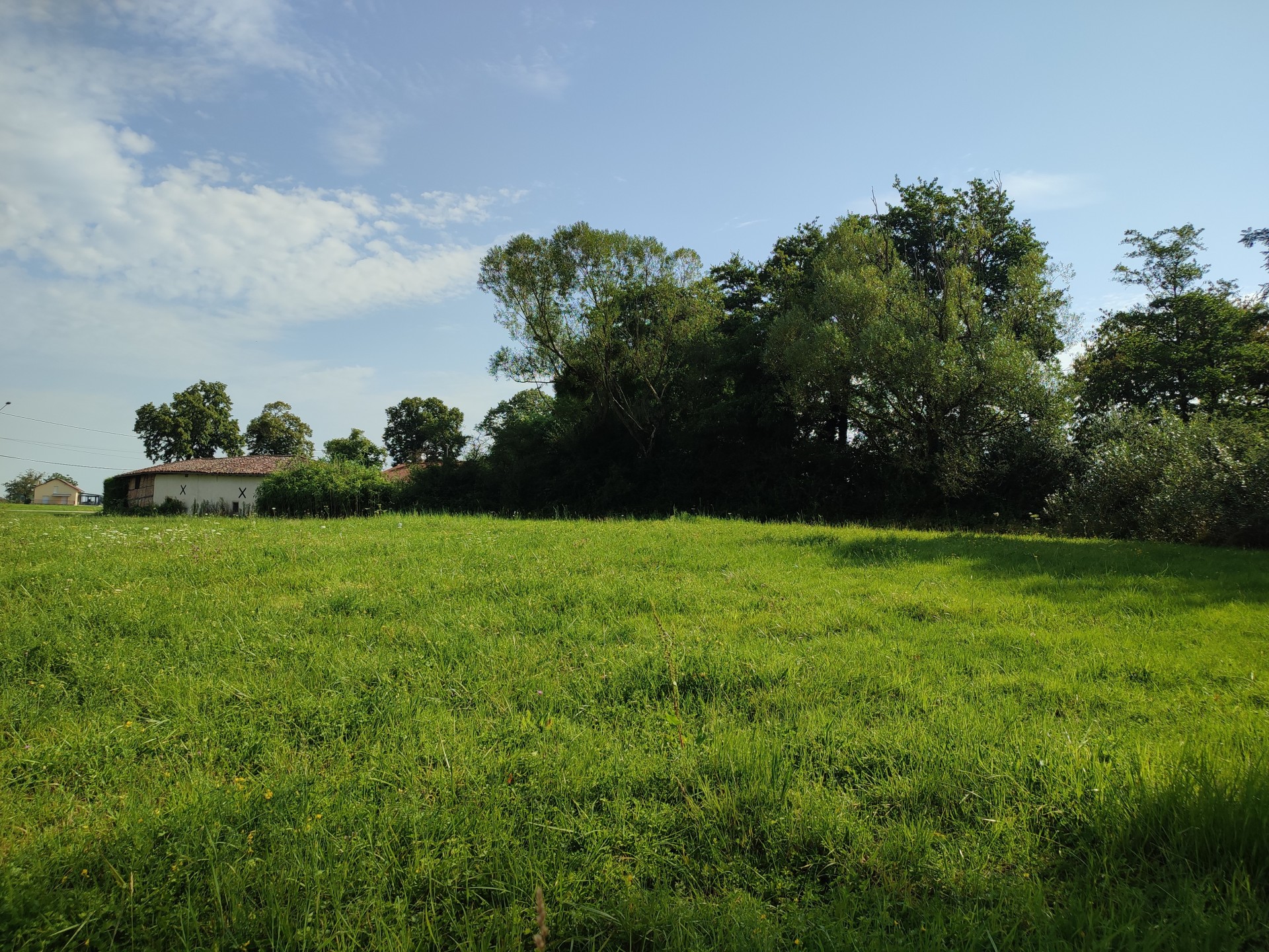 vente terrain ST TRIVIER DE COURTES