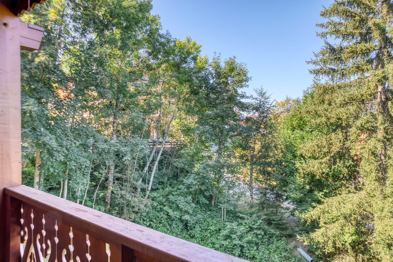vente appartement MEGEVE