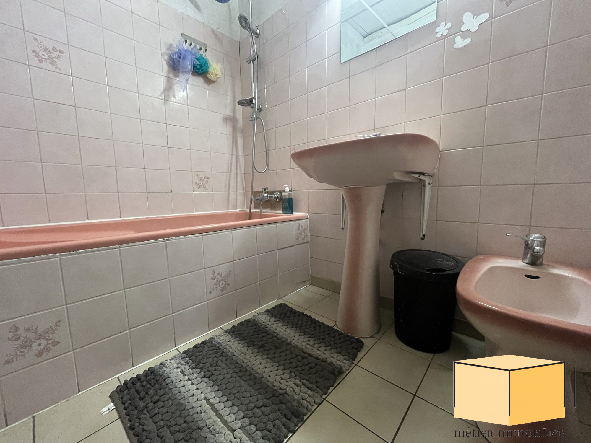 vente maison MAGNIEU