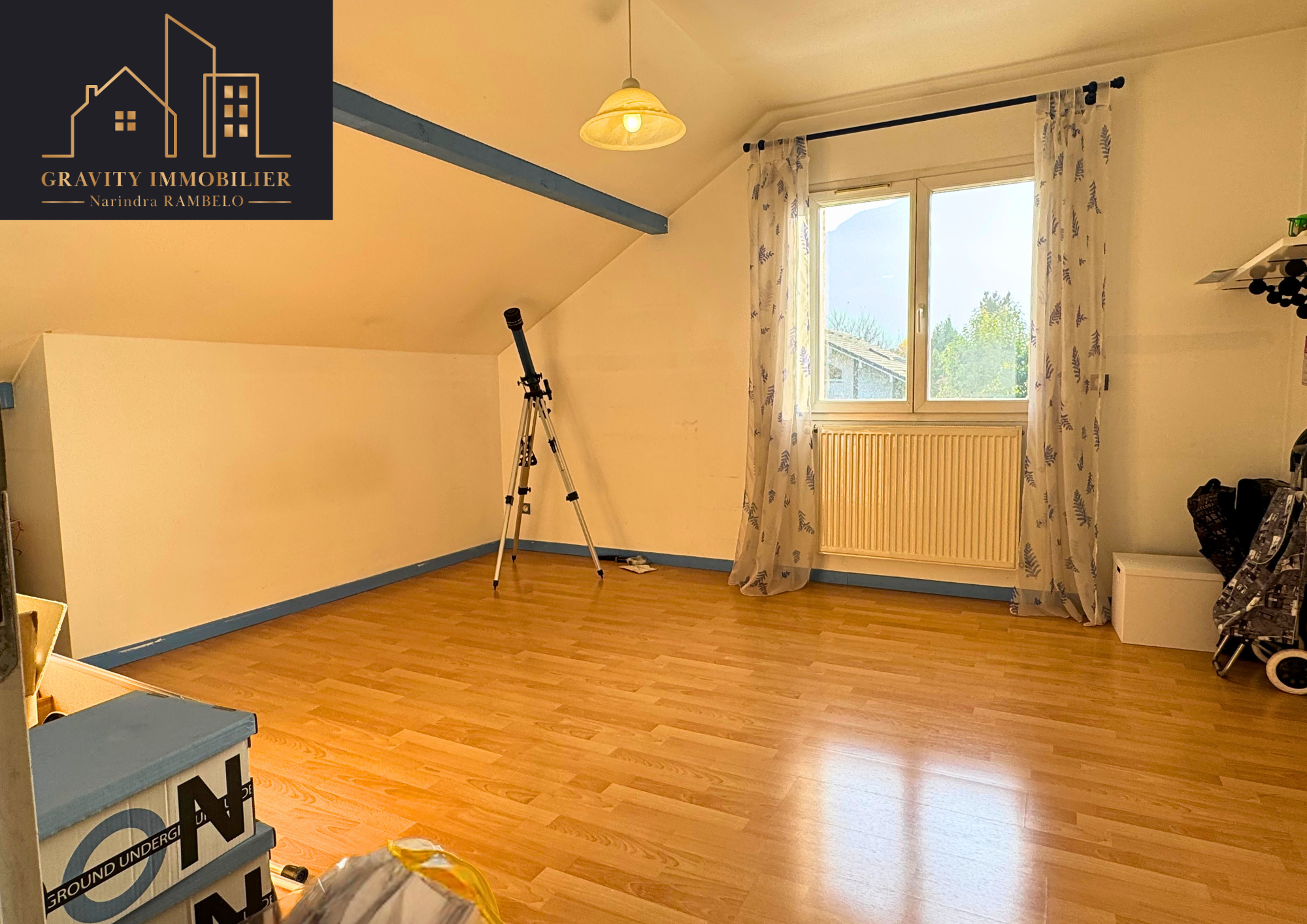 vente maison THYEZ