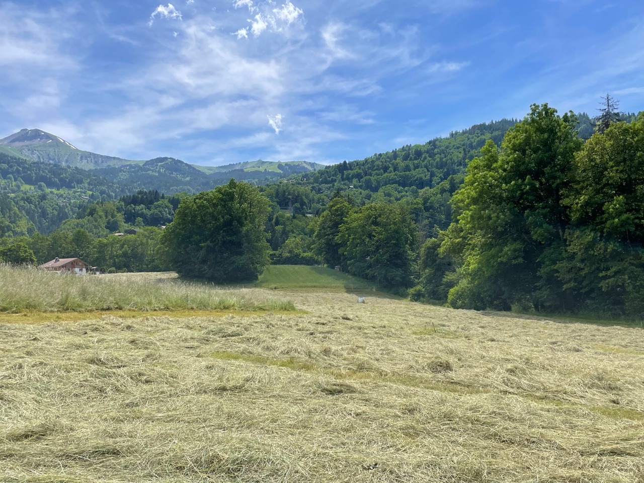 vente terrain ST GERVAIS LES BAINS