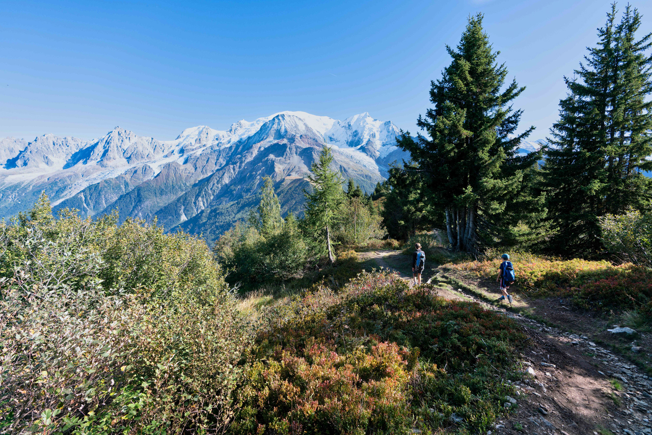 vente terrain ST GERVAIS LES BAINS