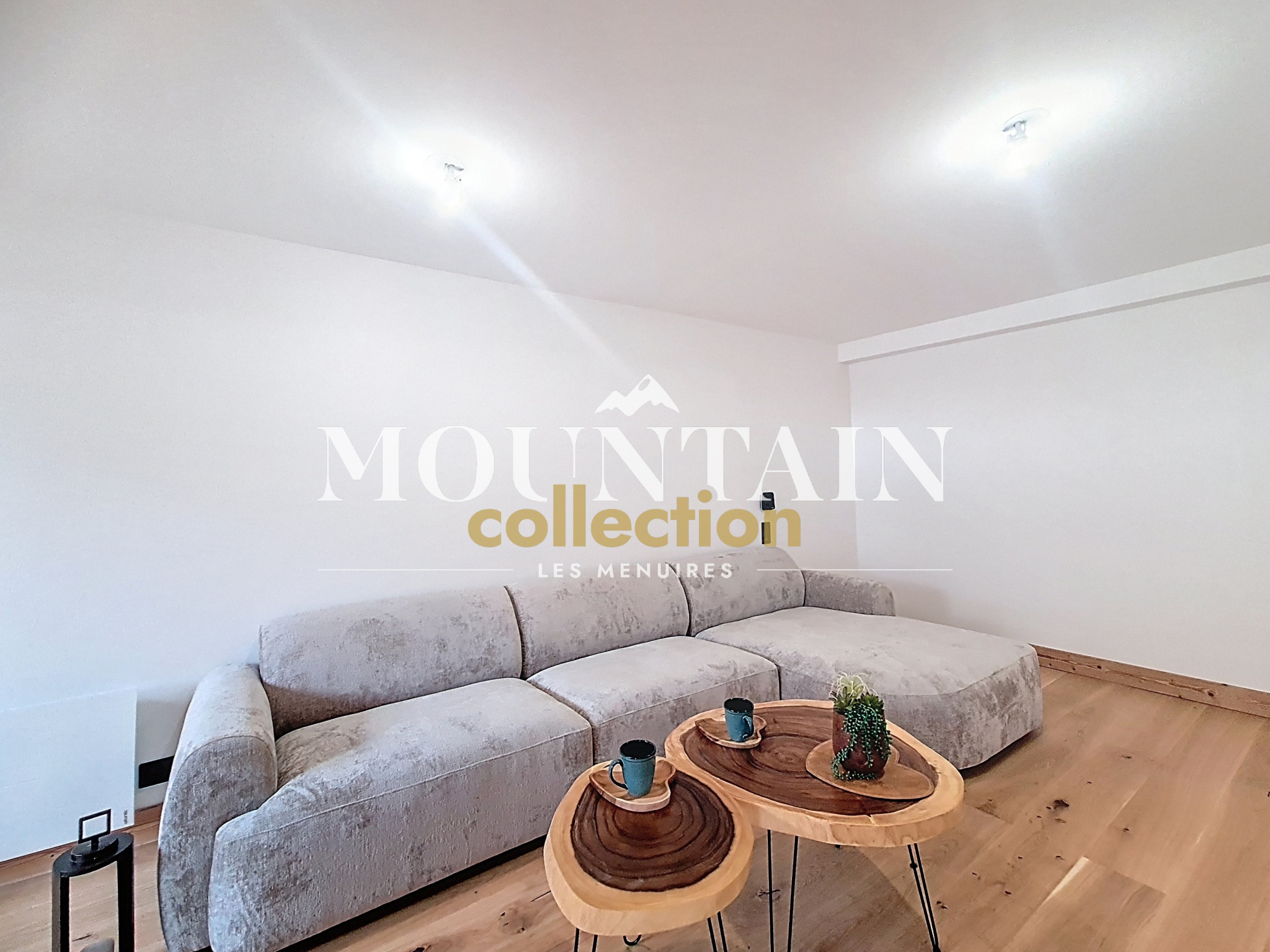 vente appartement LES BELLEVILLE