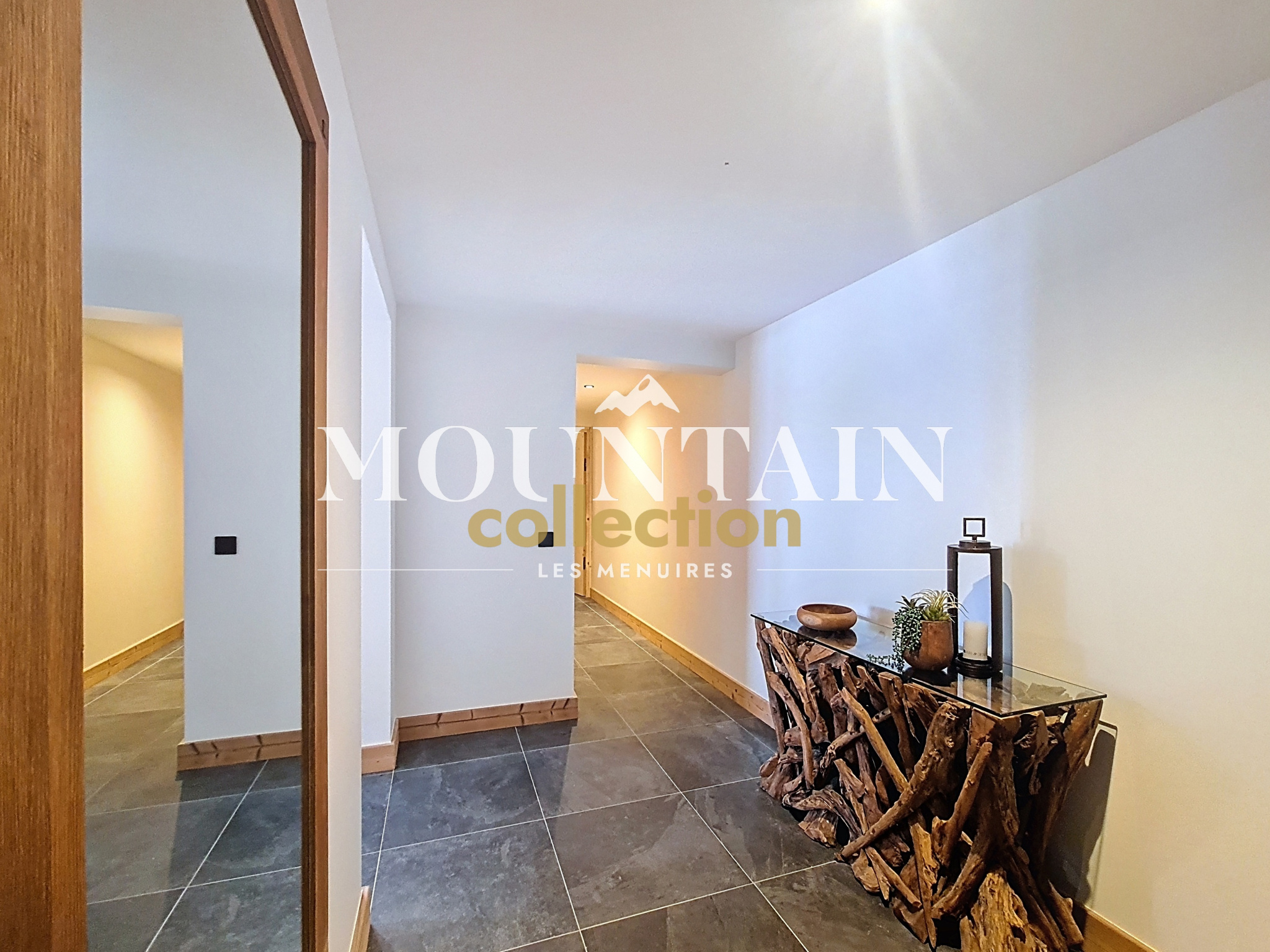 vente appartement LES BELLEVILLE