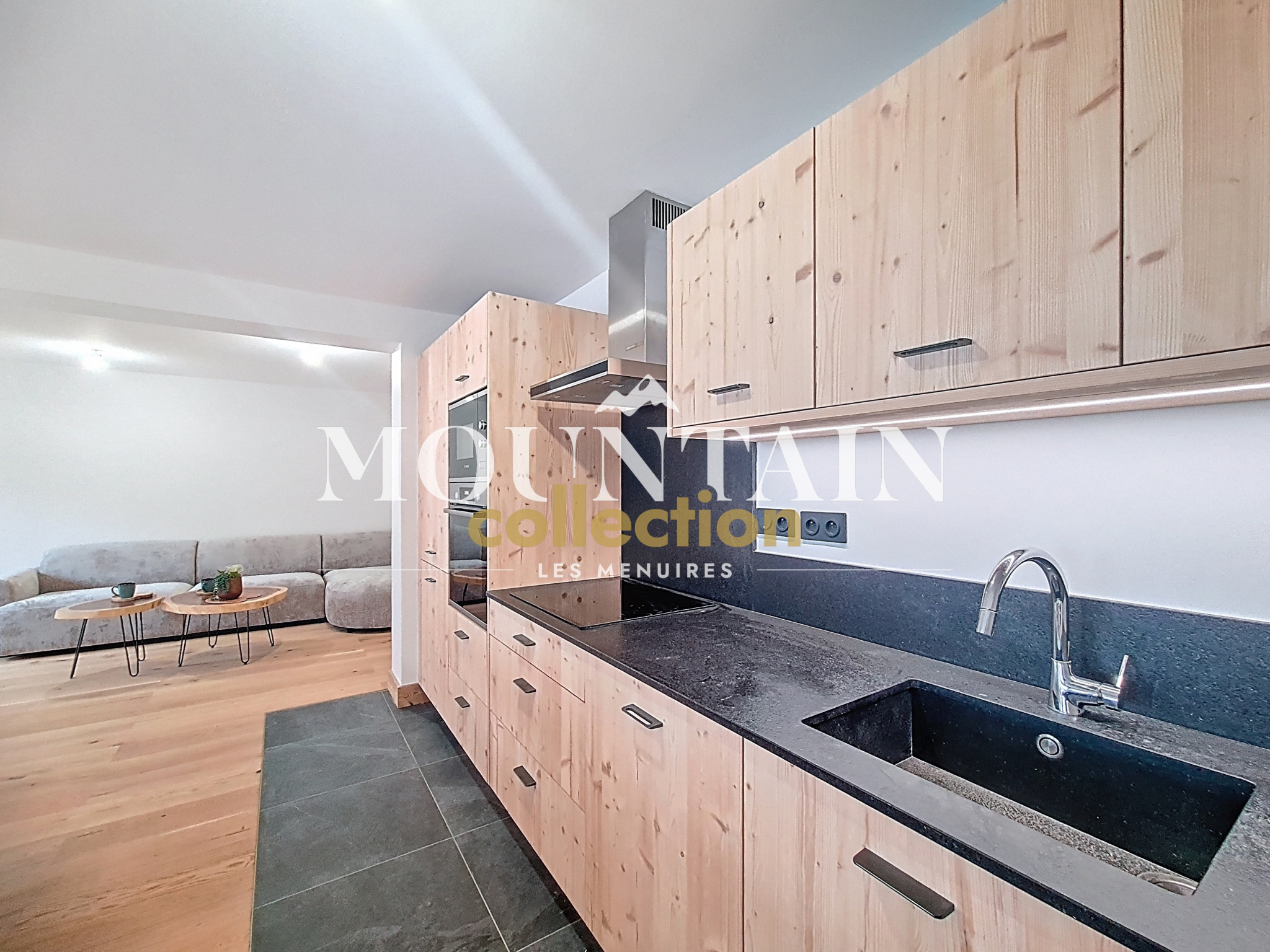 vente appartement LES BELLEVILLE