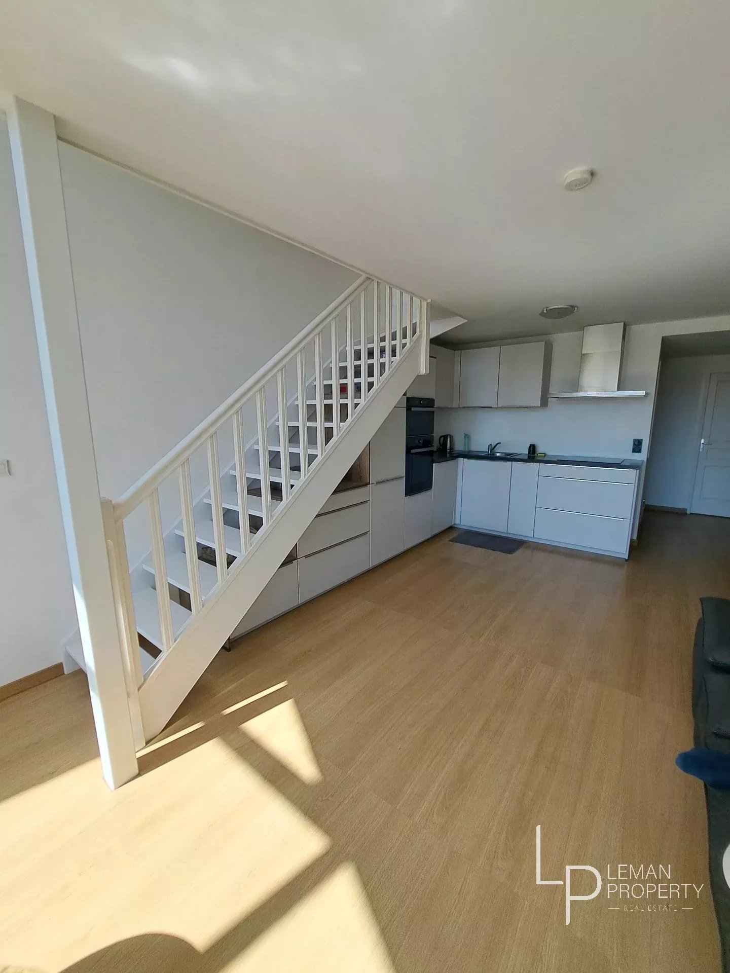 vente appartement VEIGY FONCENEX