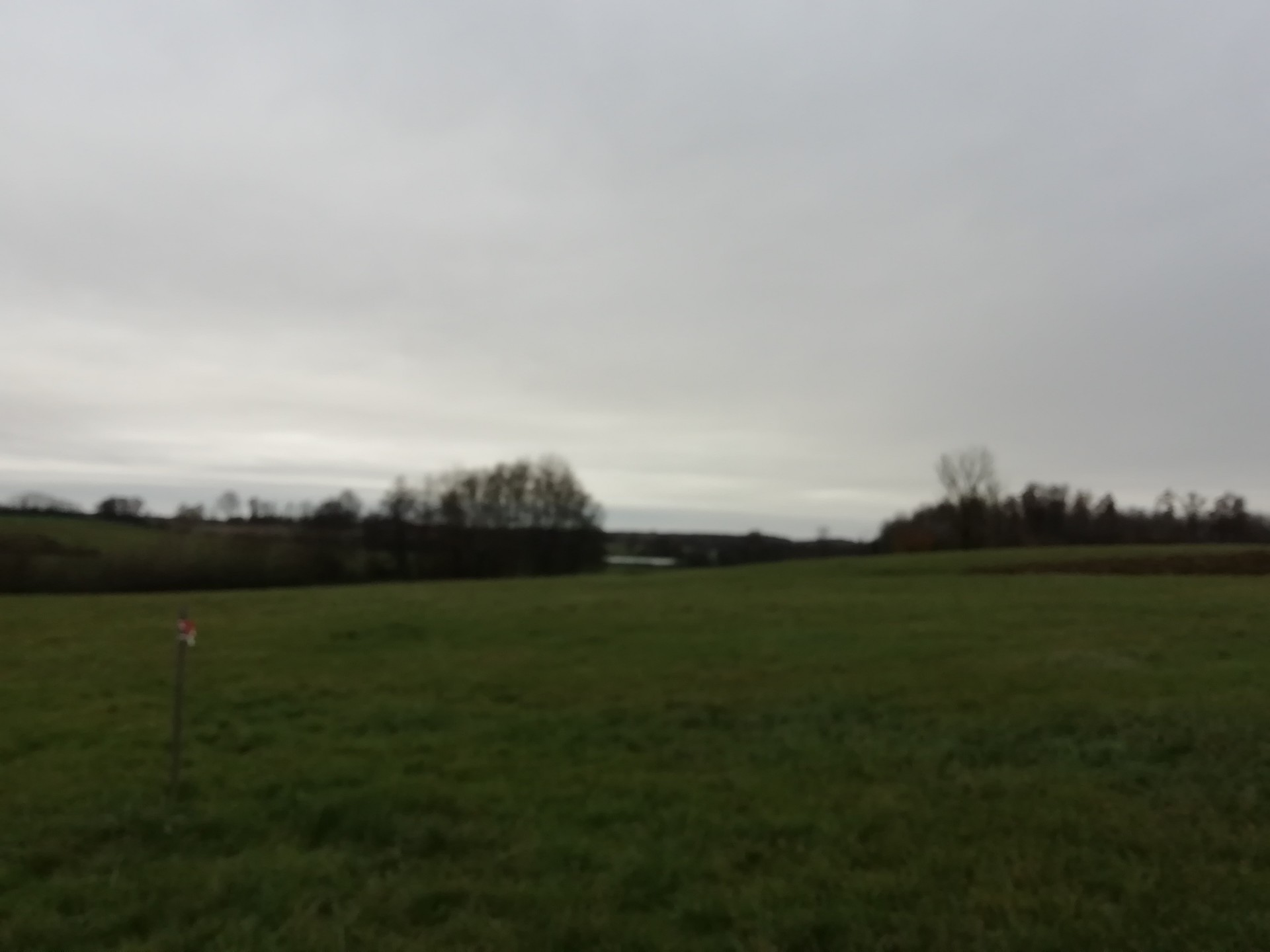 vente terrain ST TRIVIER DE COURTES