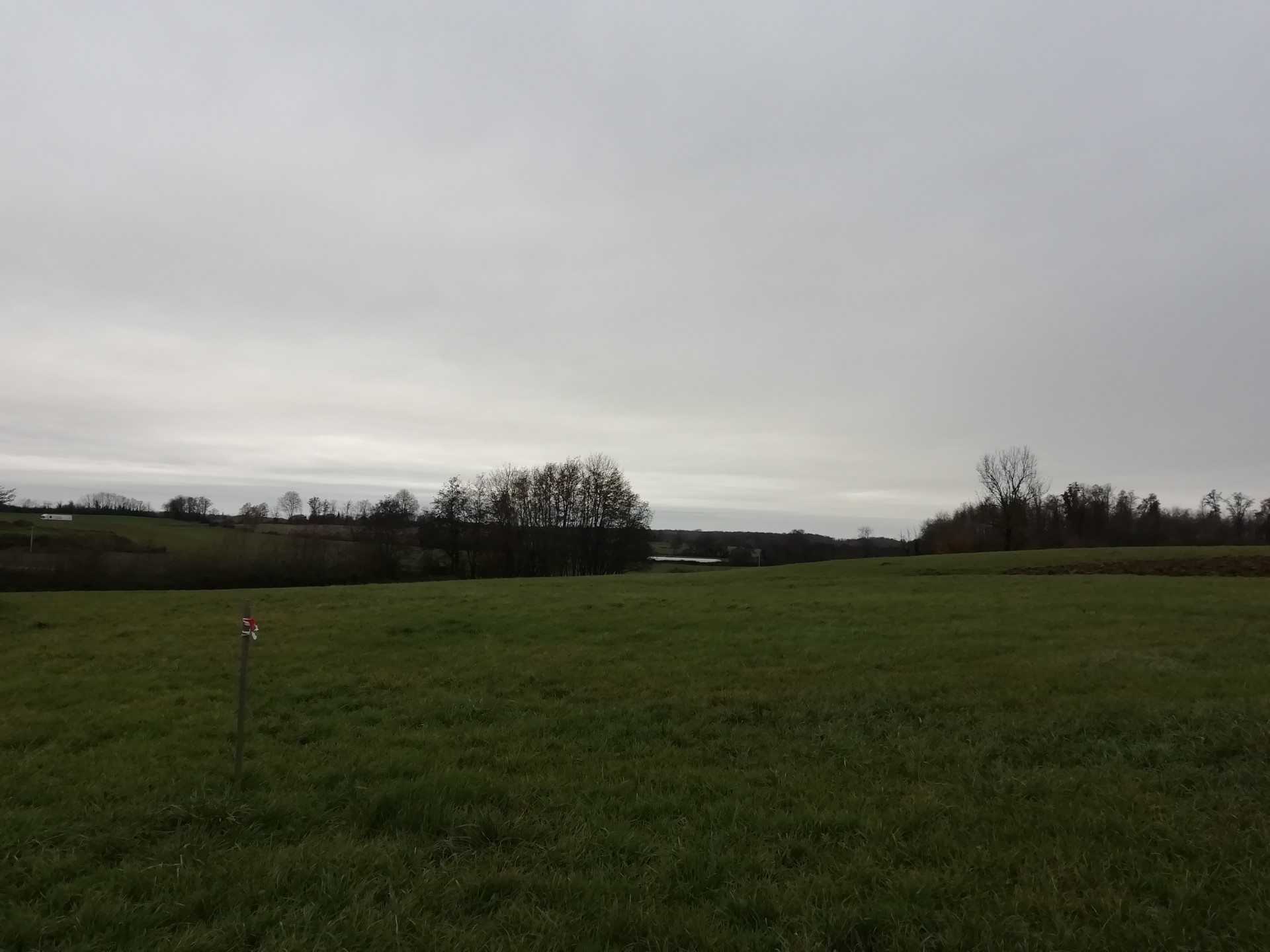vente terrain ST TRIVIER DE COURTES