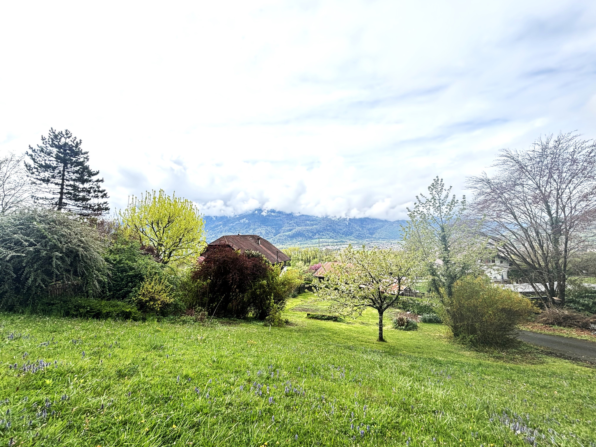 vente terrain THYEZ