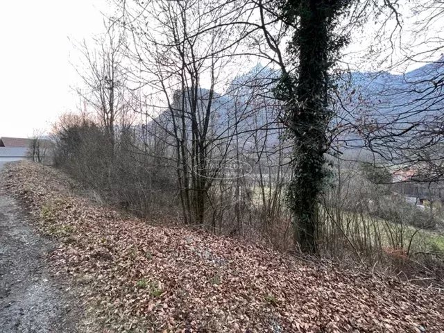 vente terrain MAGLAND