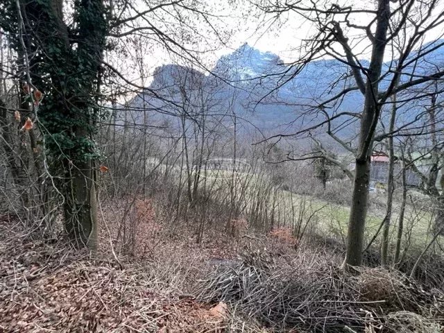 vente terrain MAGLAND