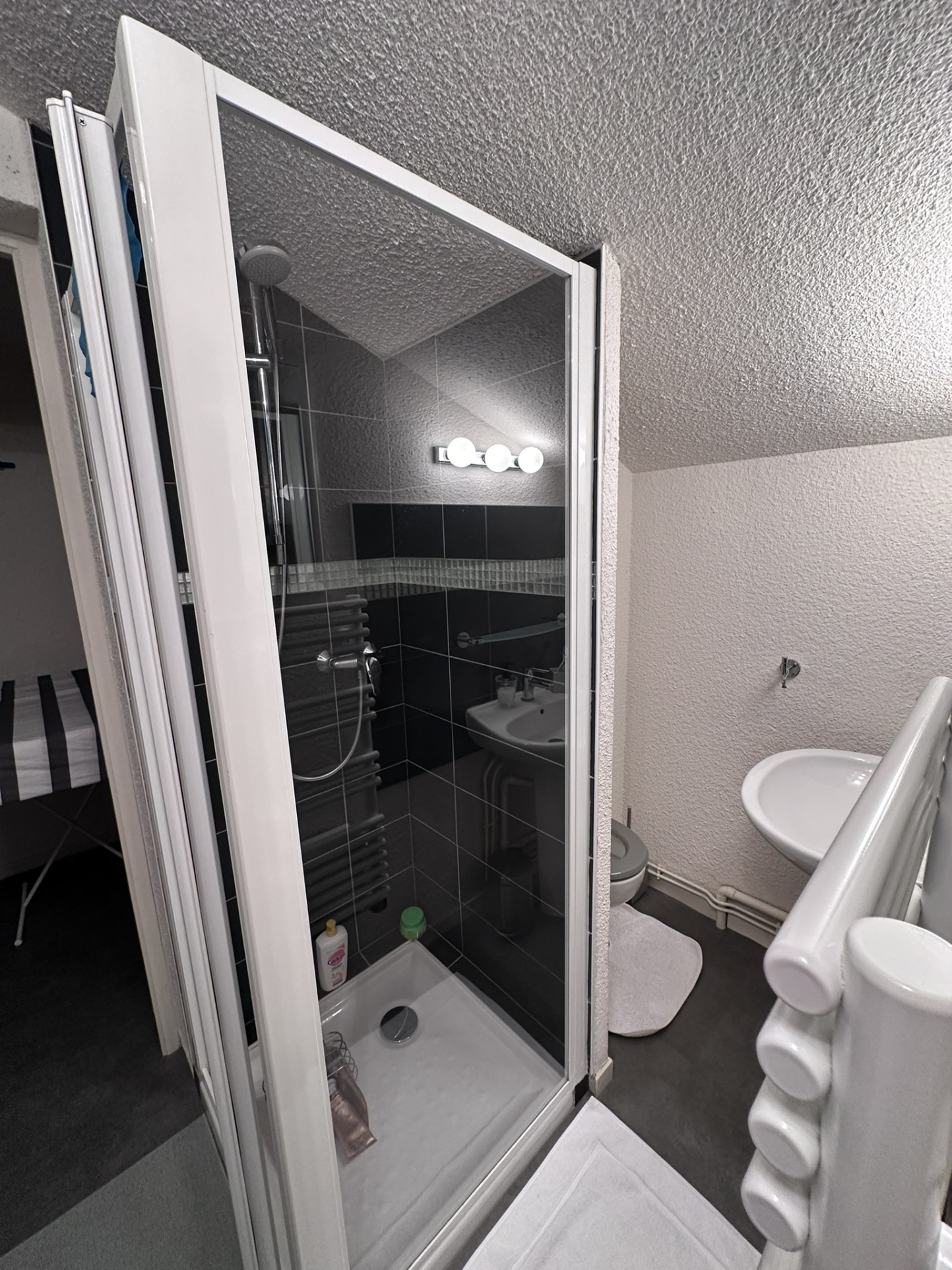 vente appartement ALBIEZ MONTROND