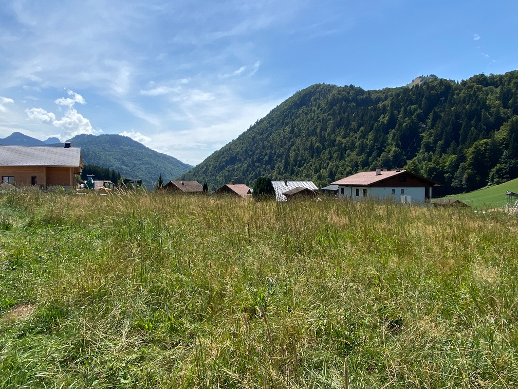 vente terrain 