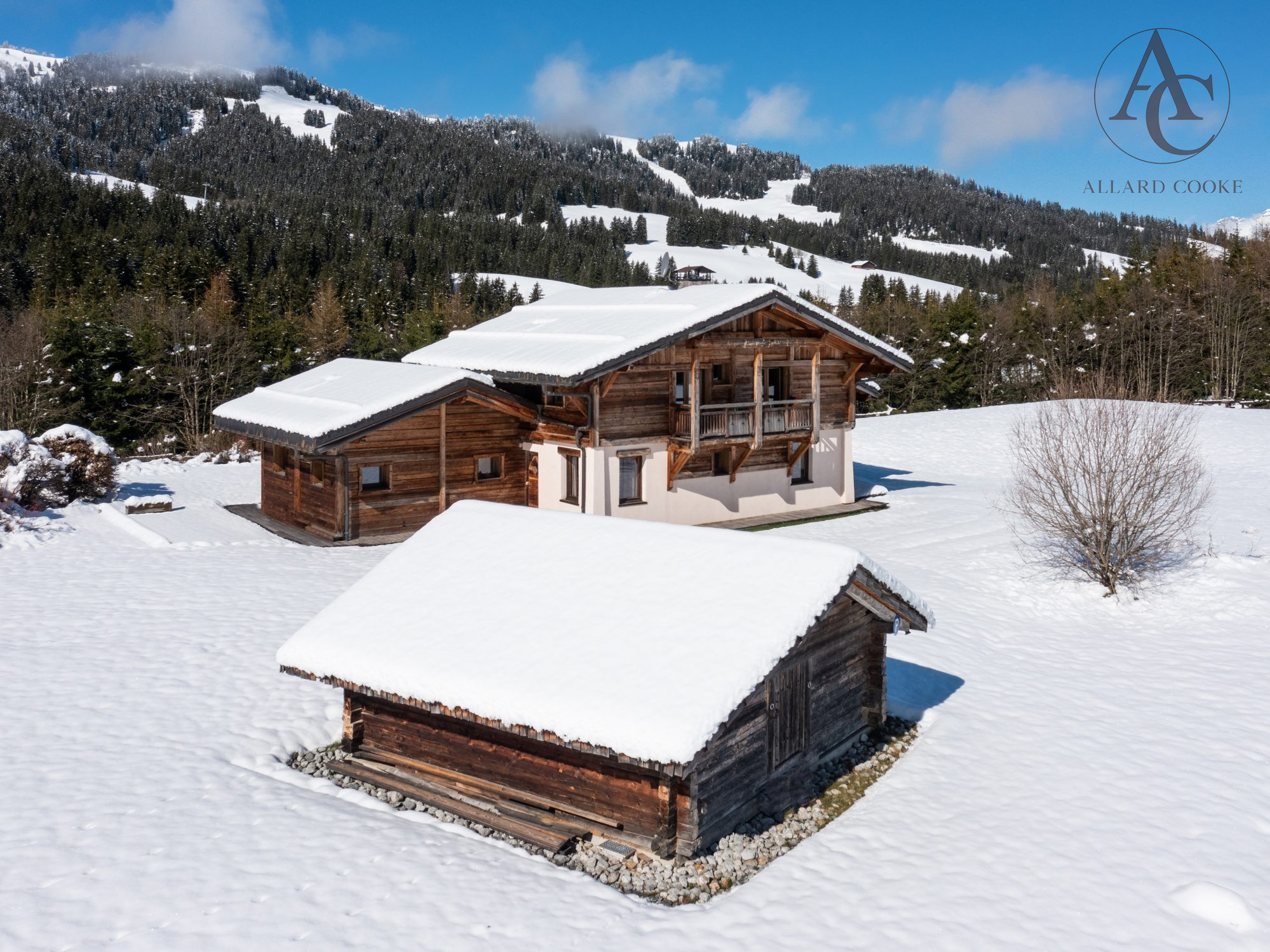 vente maison MEGEVE