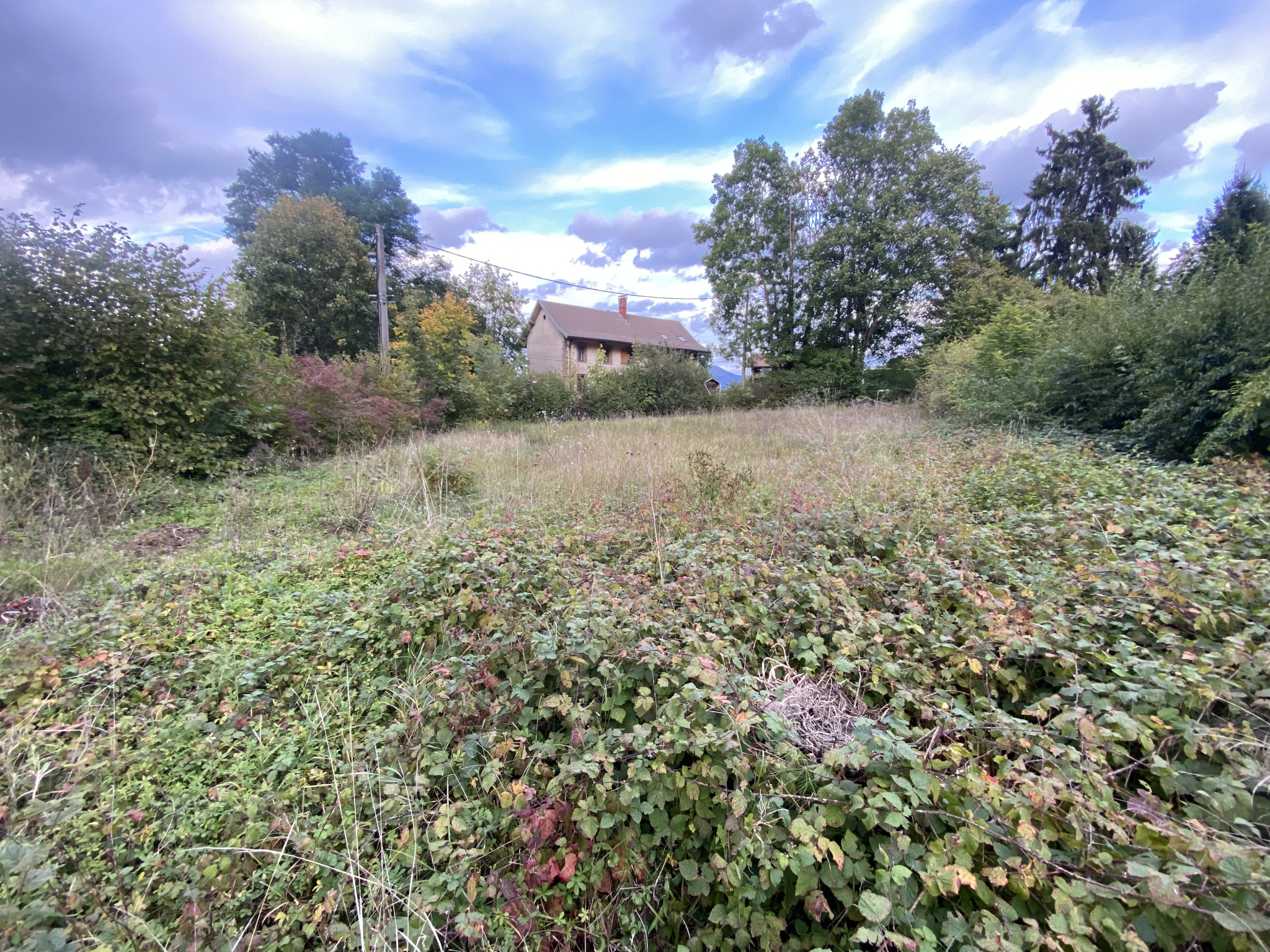 vente terrain LA ROCHE SUR FORON