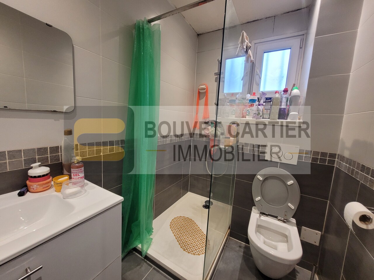 vente appartement GAILLARD