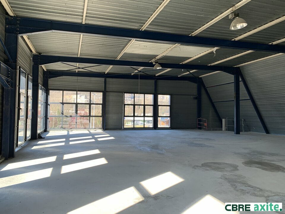 vente local-professionnel GRESY SUR AIX