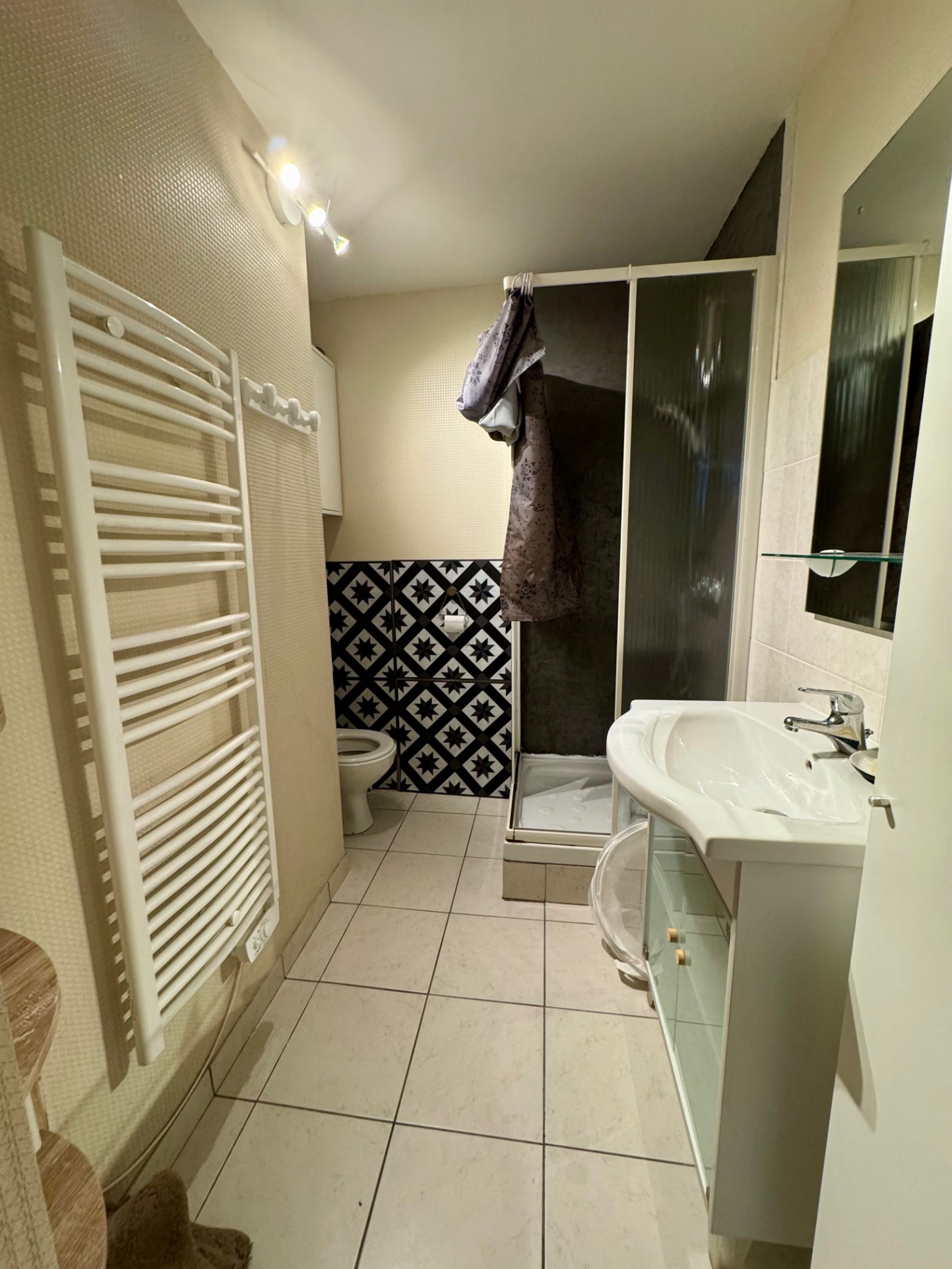 vente appartement ALLEVARD