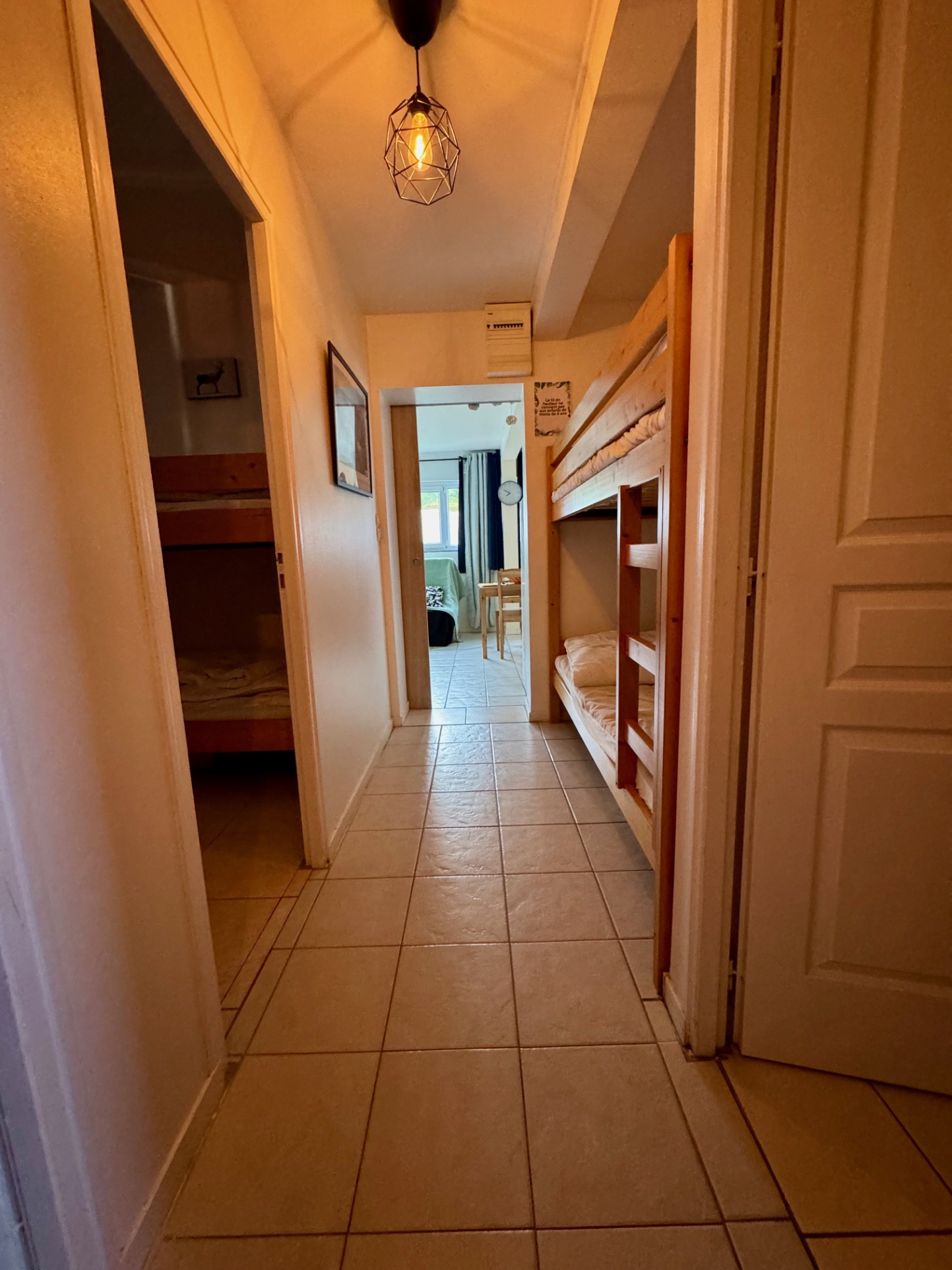 vente appartement ALLEVARD