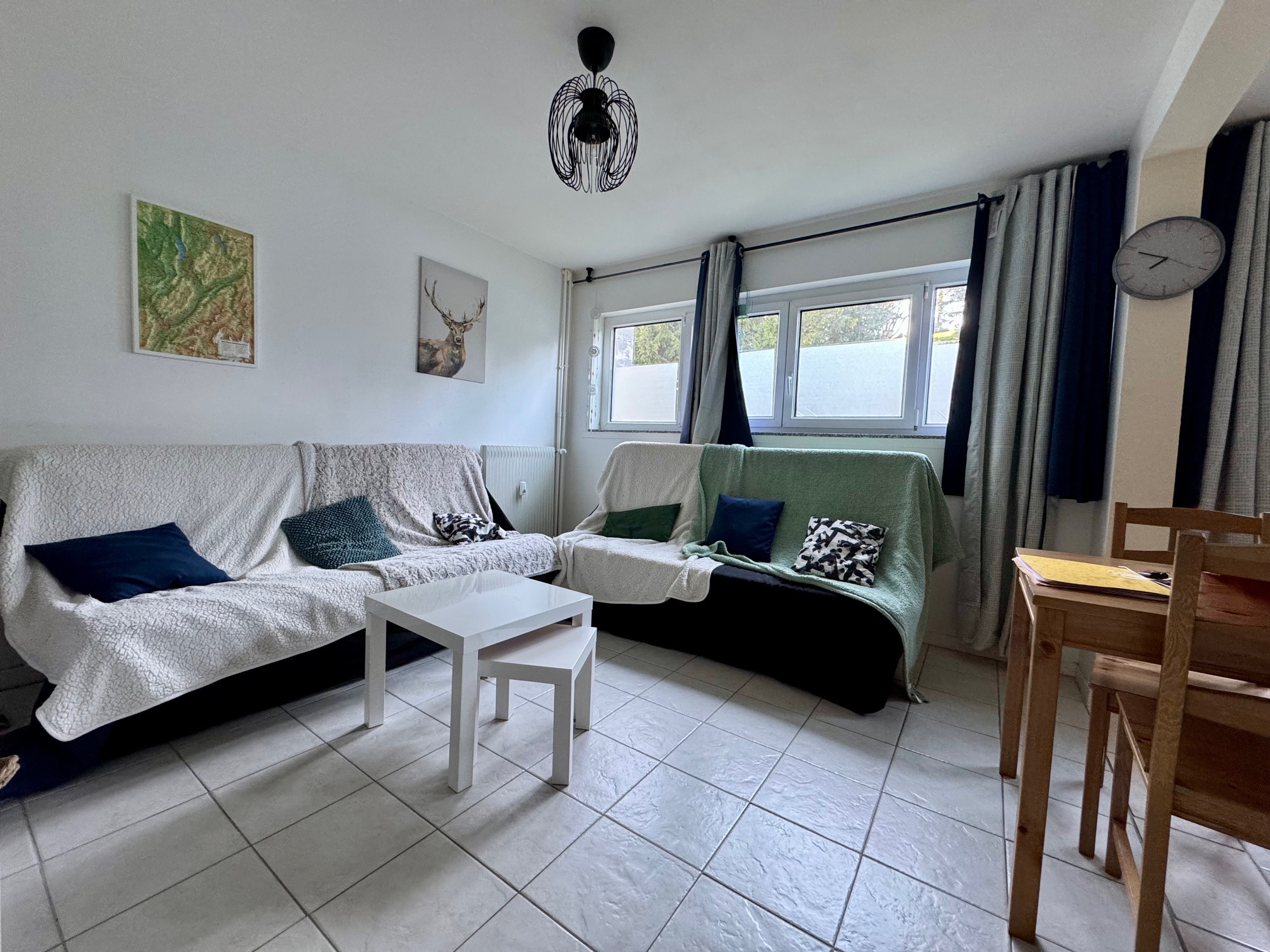 vente appartement ALLEVARD
