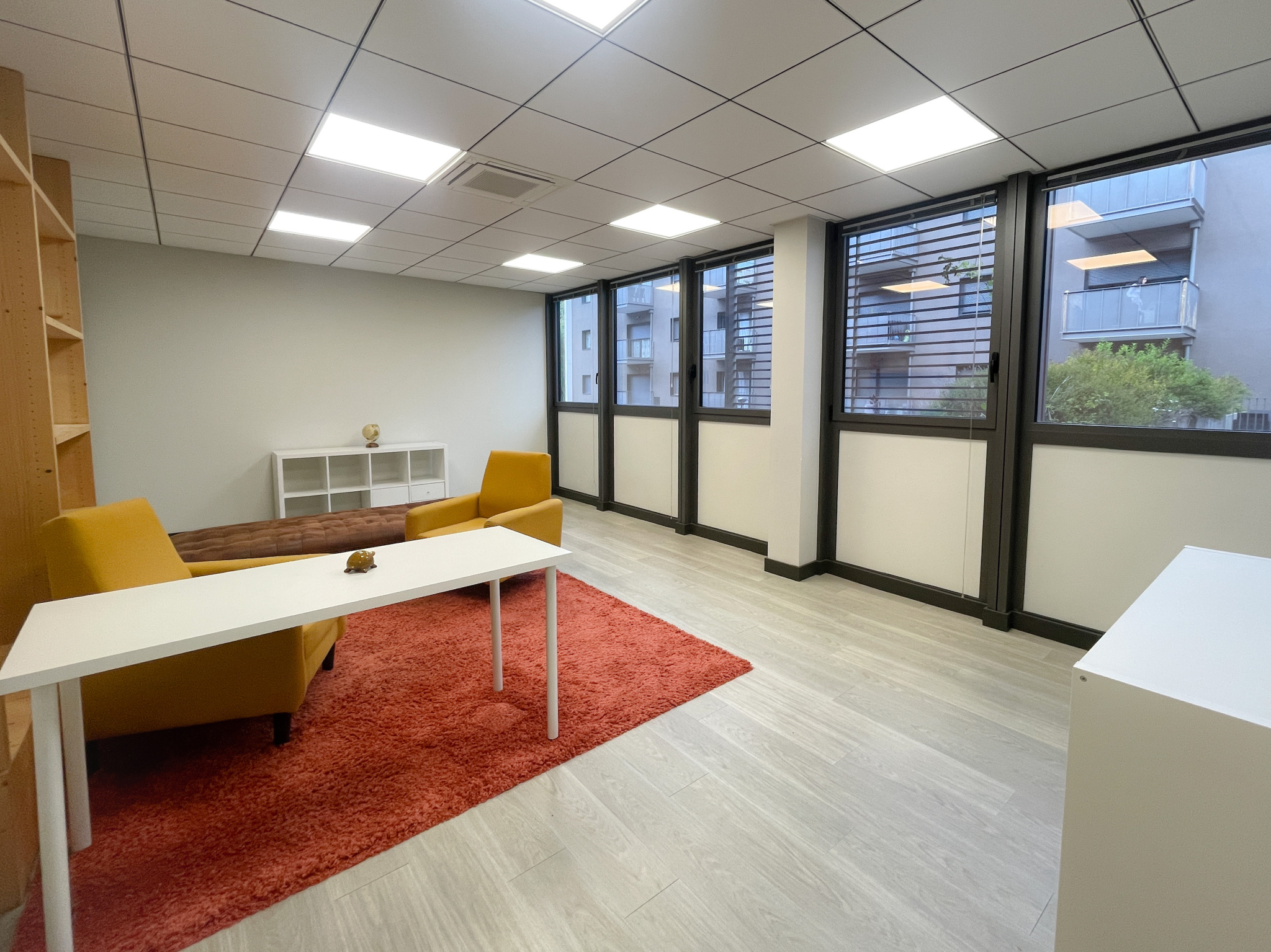 vente local-professionnel SALLANCHES