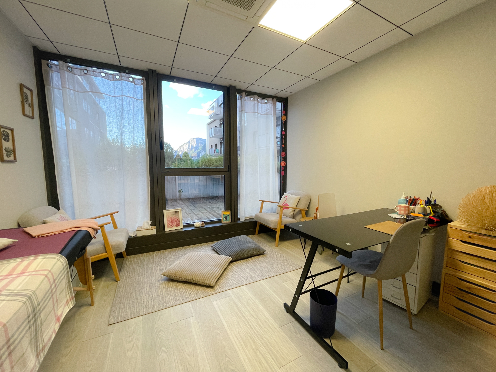 vente local-professionnel SALLANCHES