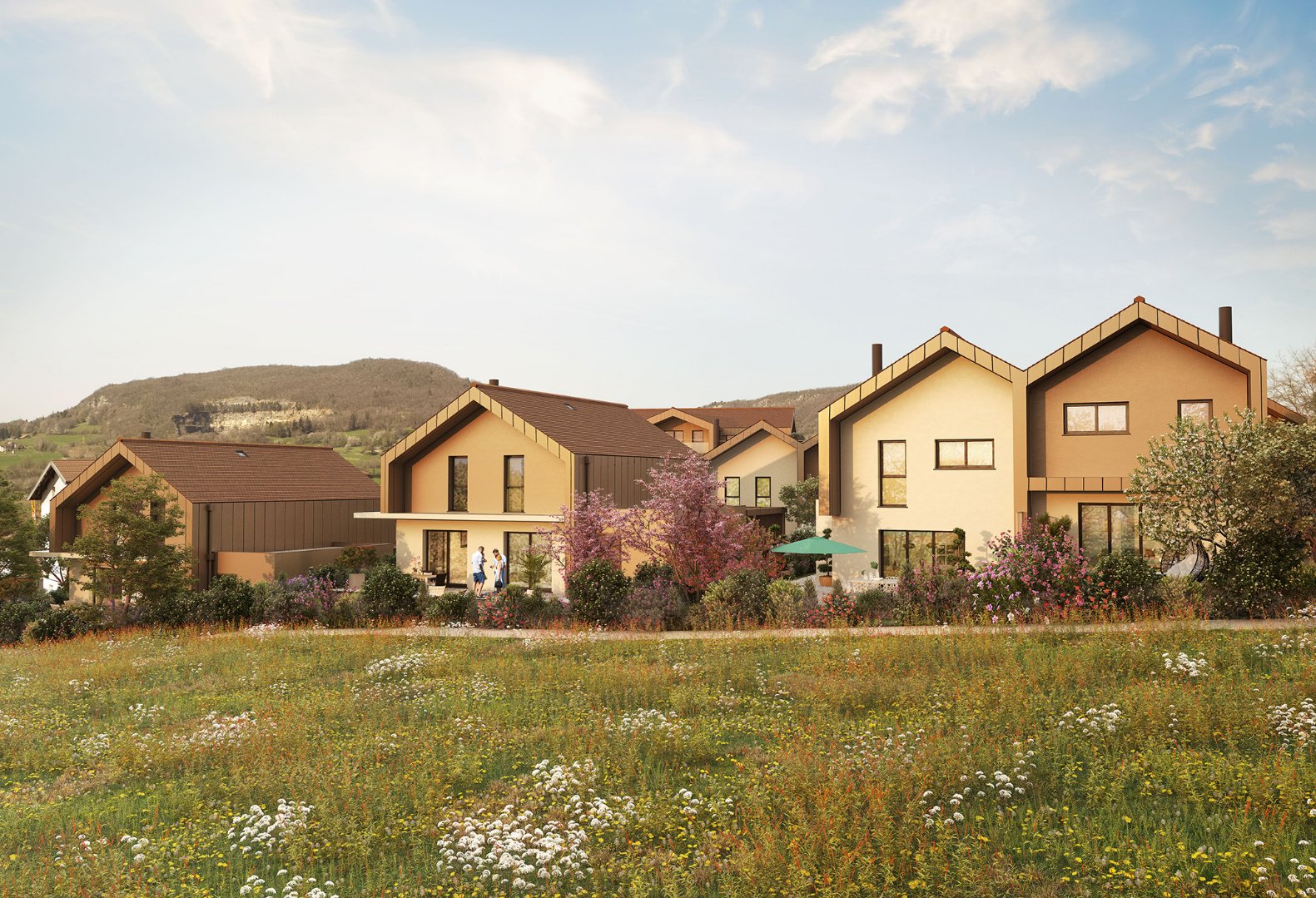 vente maison VILLY LE PELLOUX