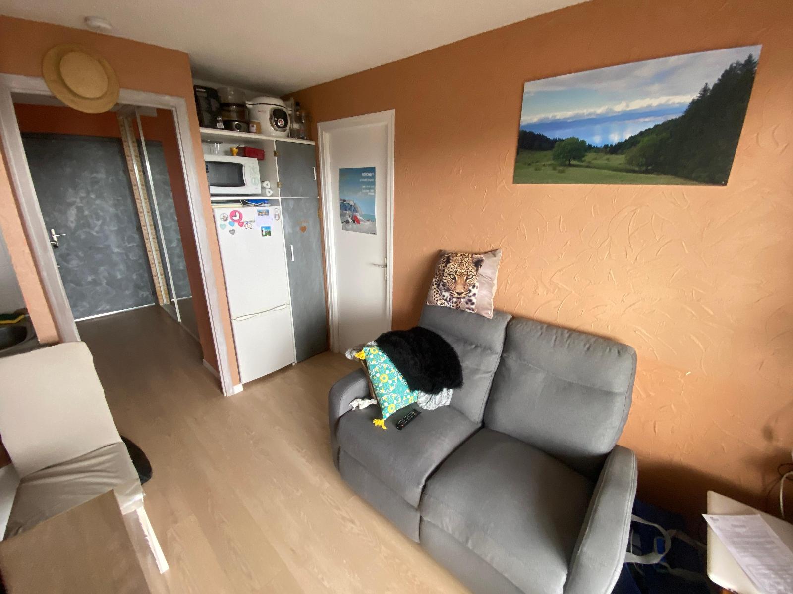 location appartement THOLLON LES MEMISES