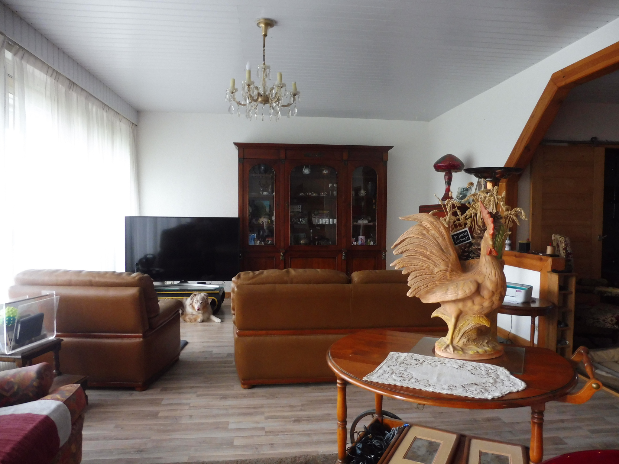 vente appartement THONON LES BAINS