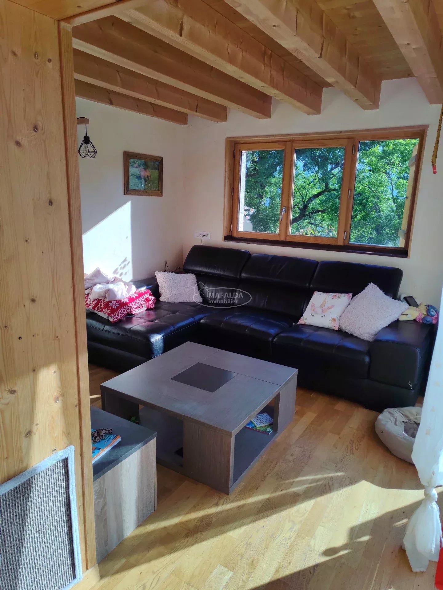 vente maison MONT SAXONNEX