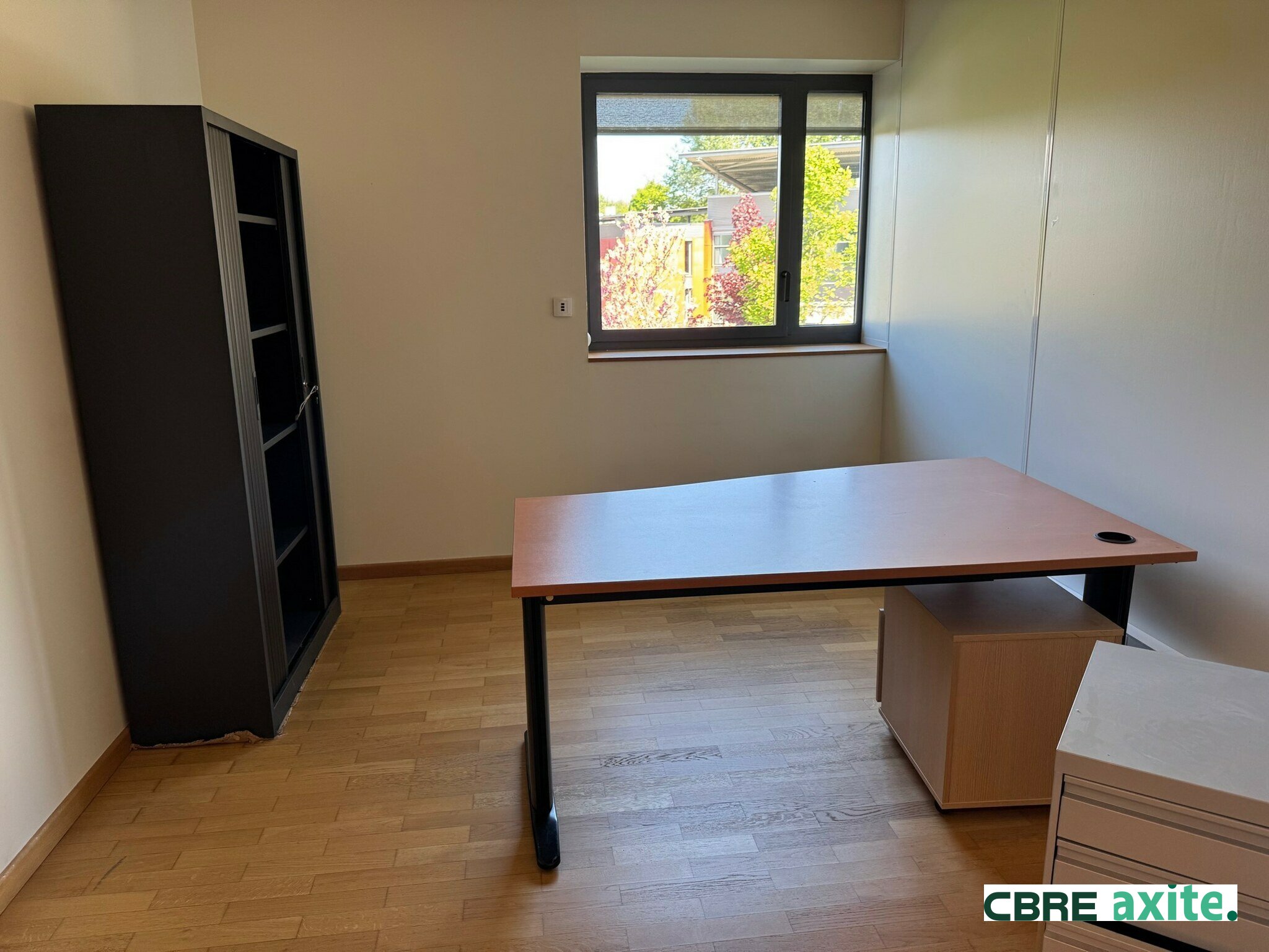 location local-professionnel FRANCIN